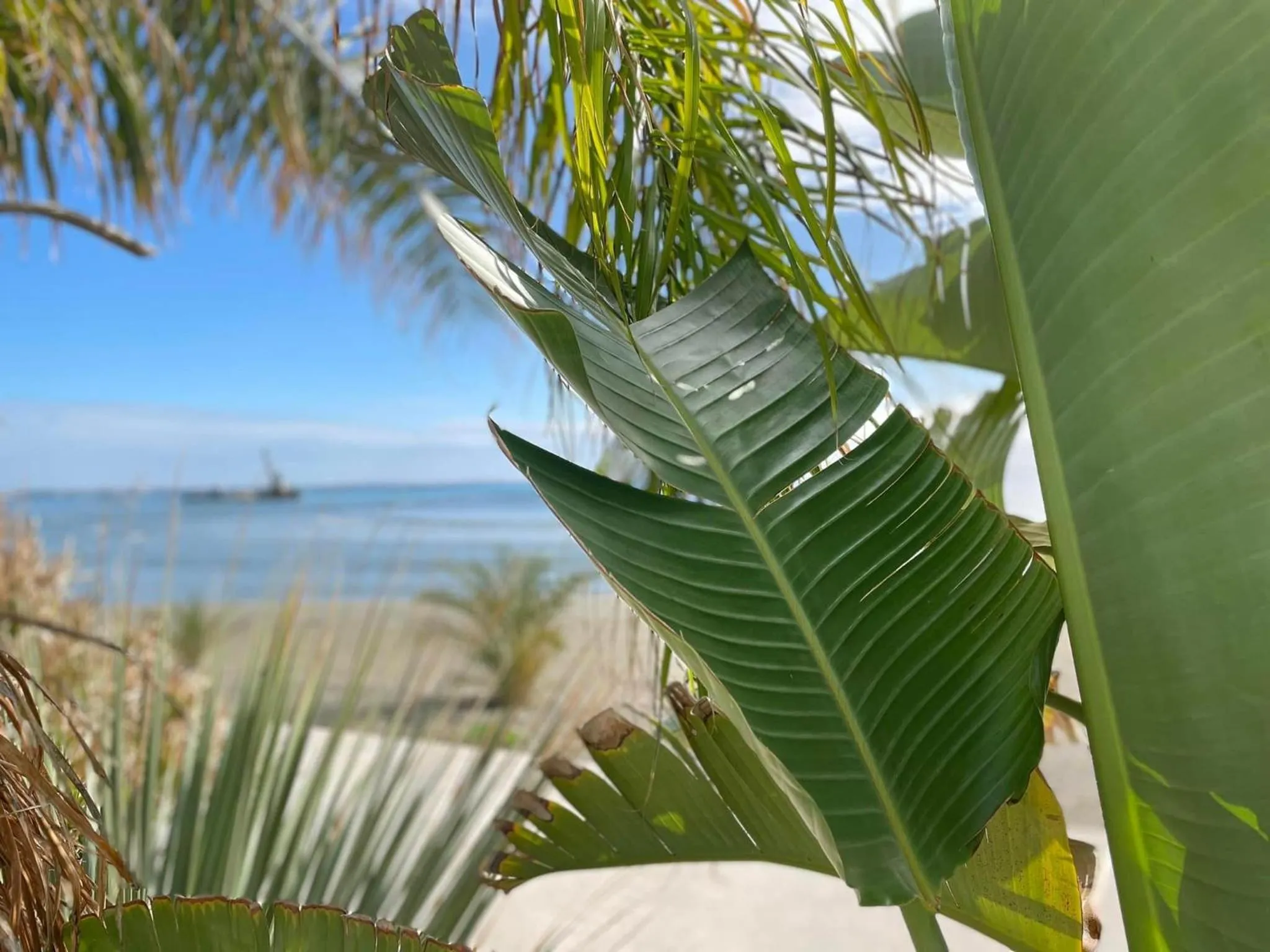 Beach in Lebay Beach Hotel