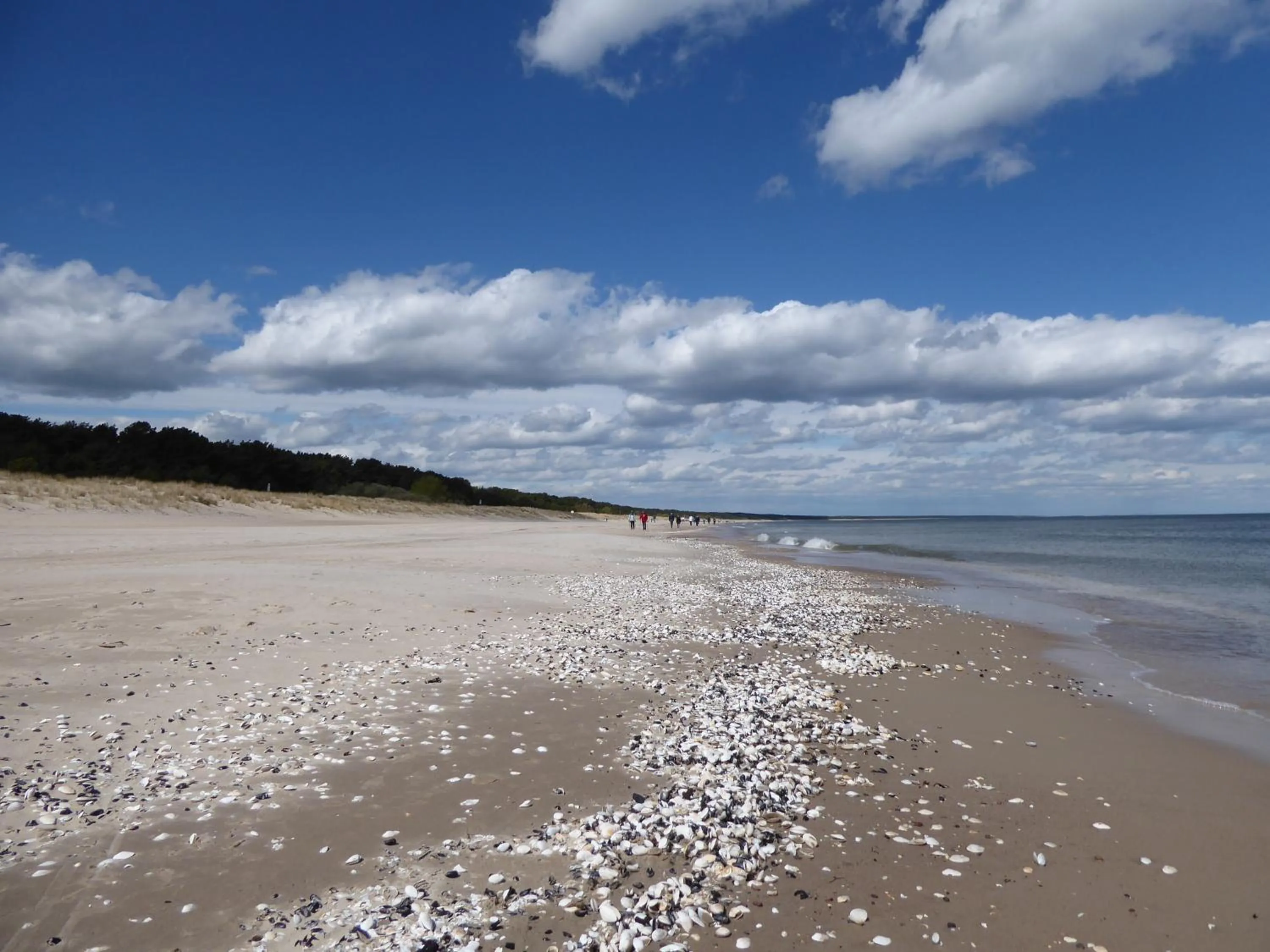 Nearby landmark in Hotel am Kurpark