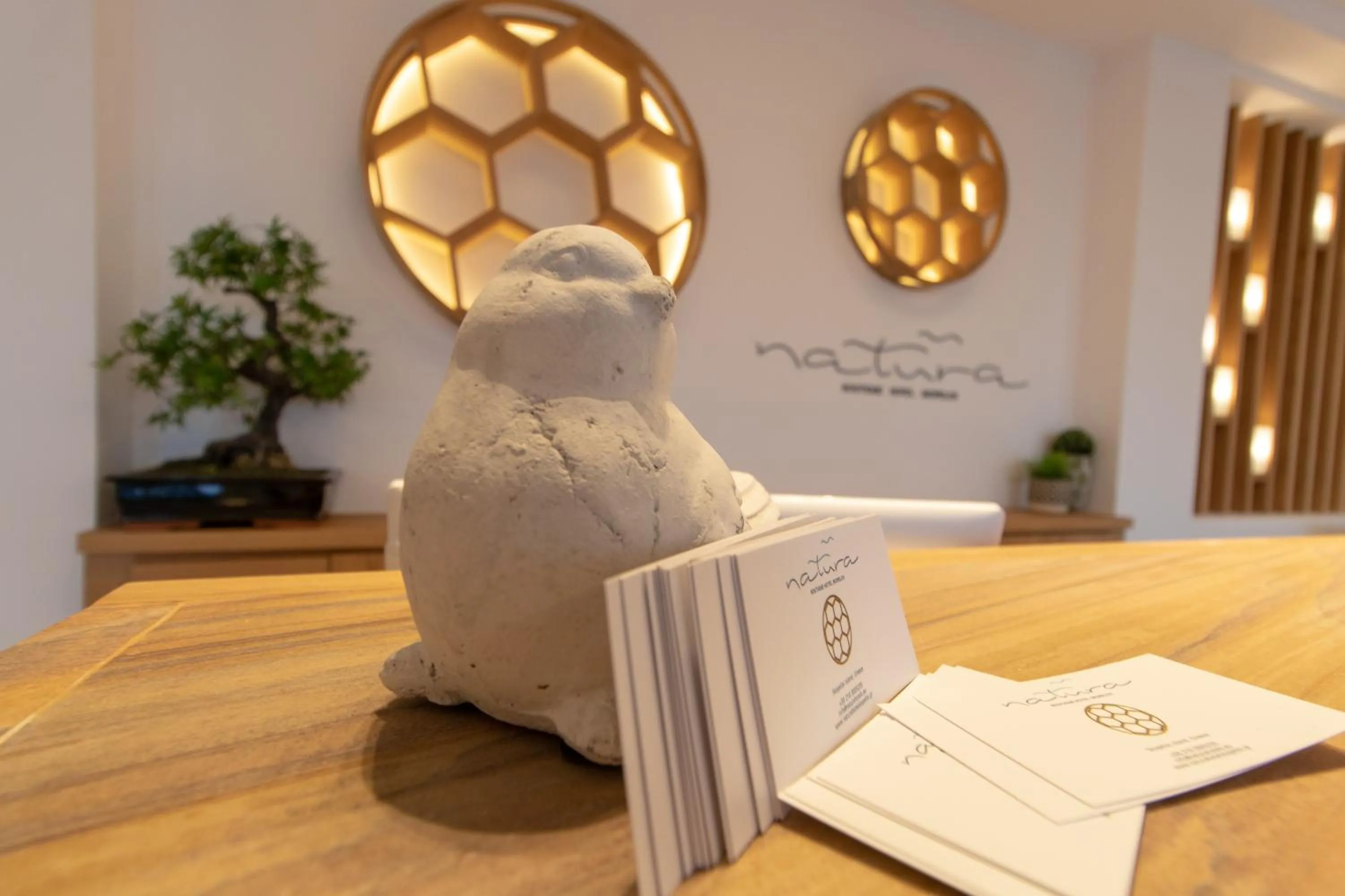 Lobby or reception in Natura Luxury Boutique Hotel Skopelos