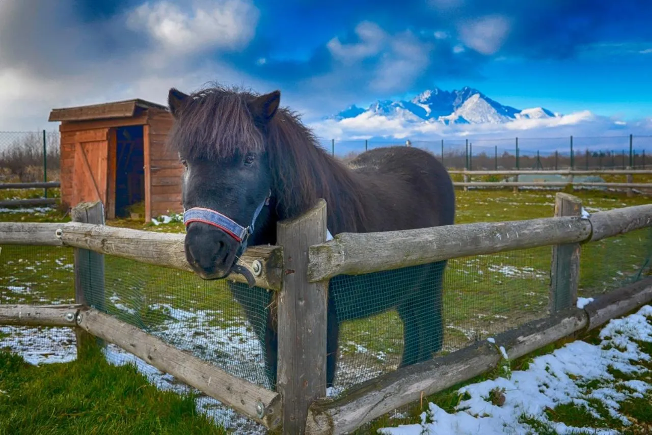 Children play ground in Tatragolf Mountain Resort