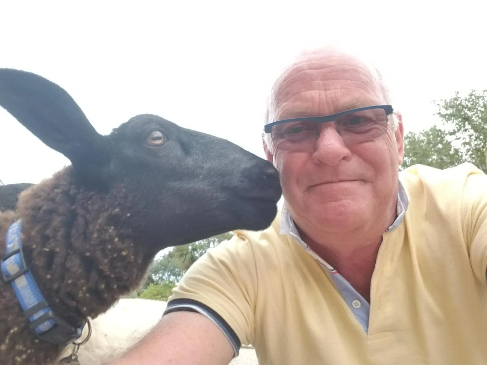 People in Brookfields