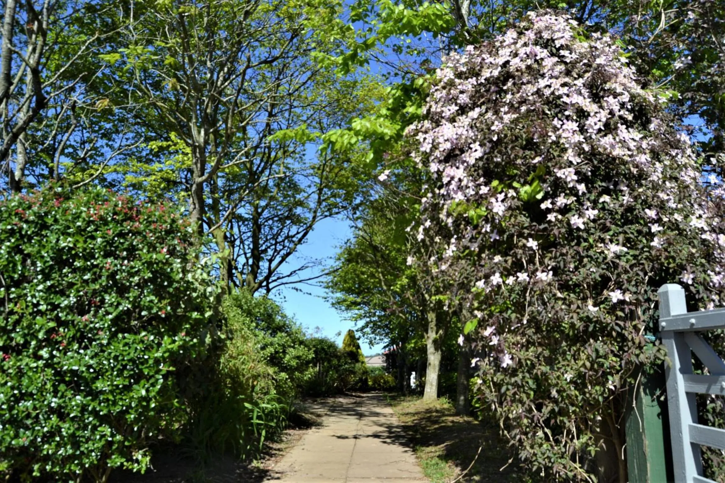 Natural landscape in Brookfields
