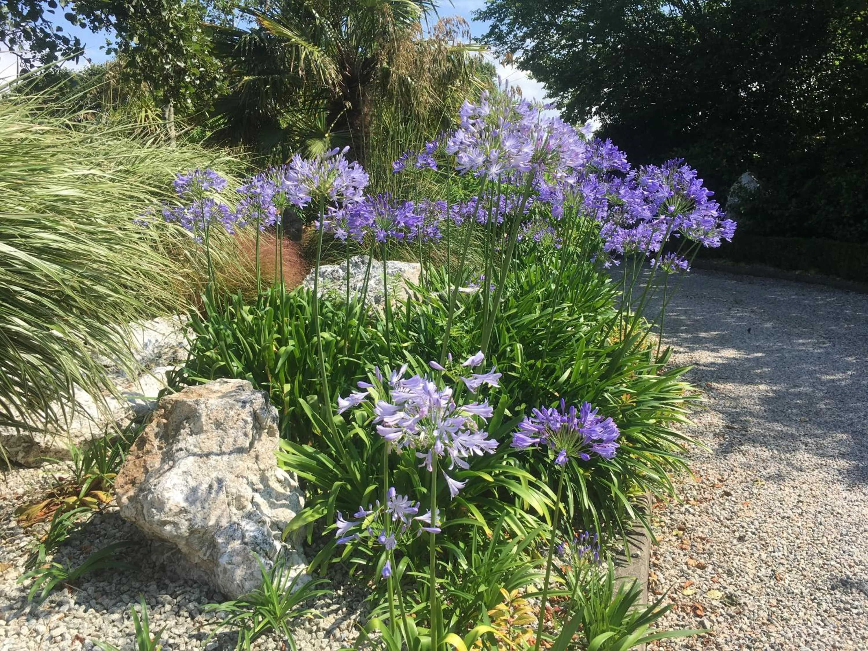 Garden in Brookfields