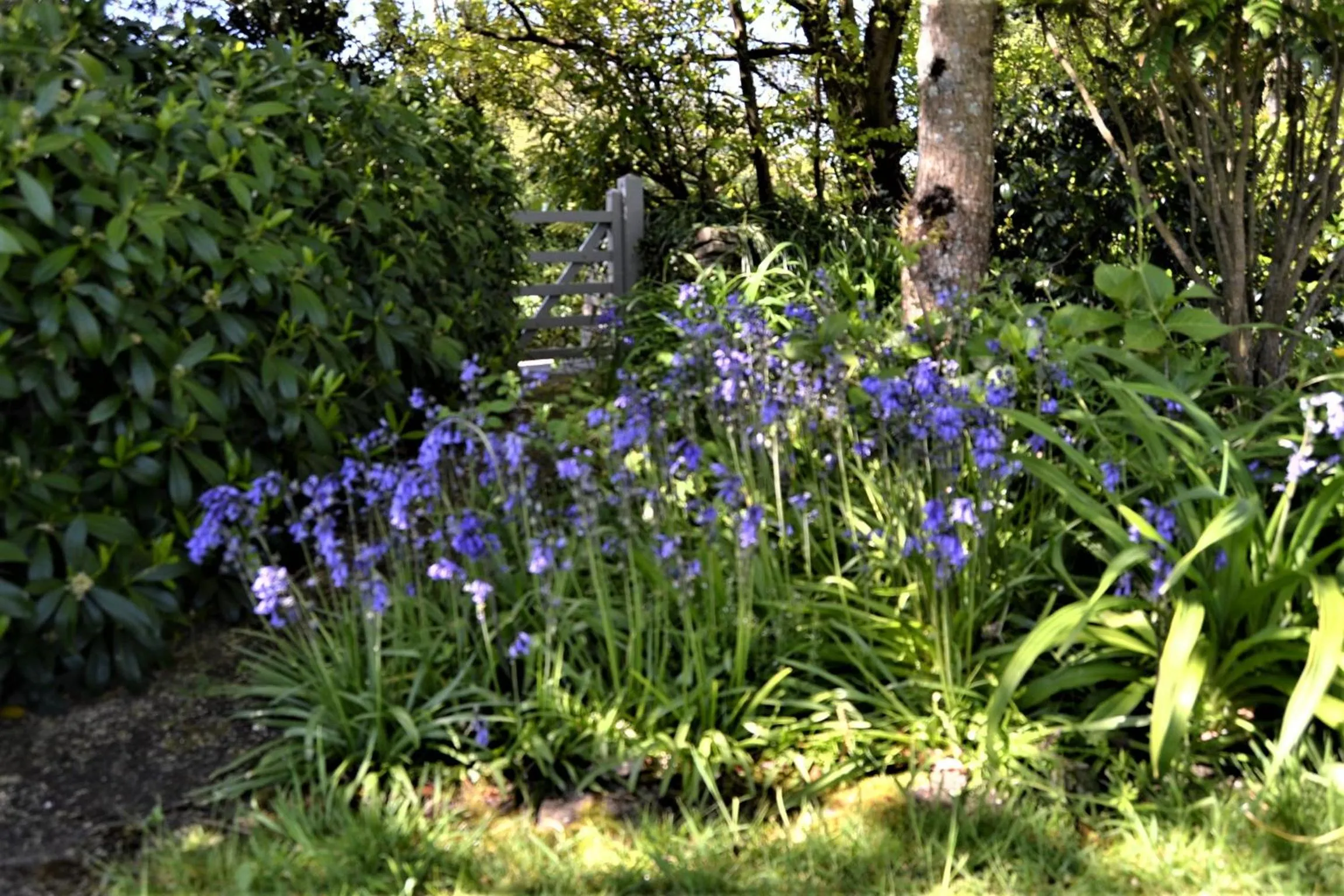 Garden in Brookfields