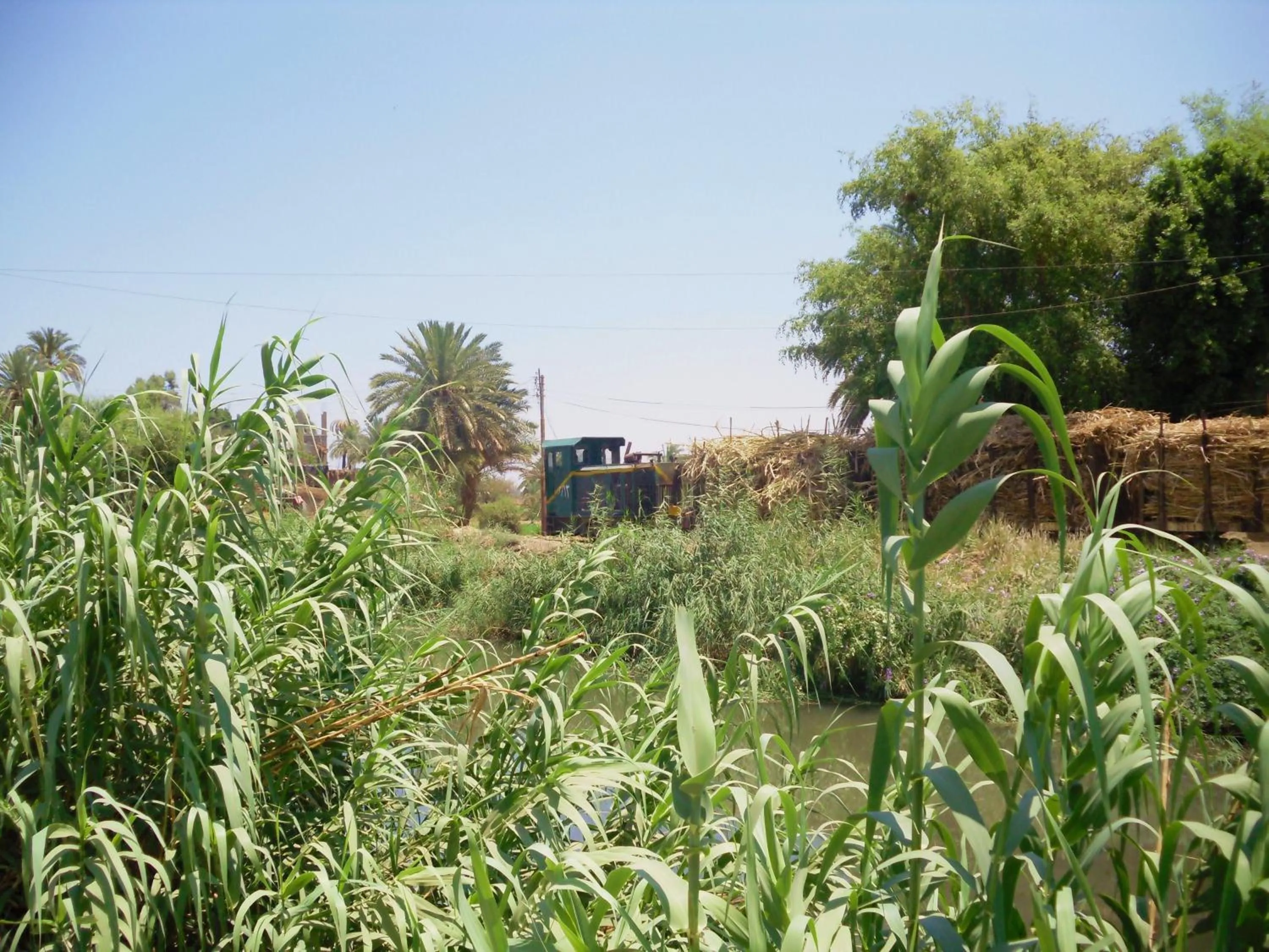 Nearby landmark in El Mesala Hotel