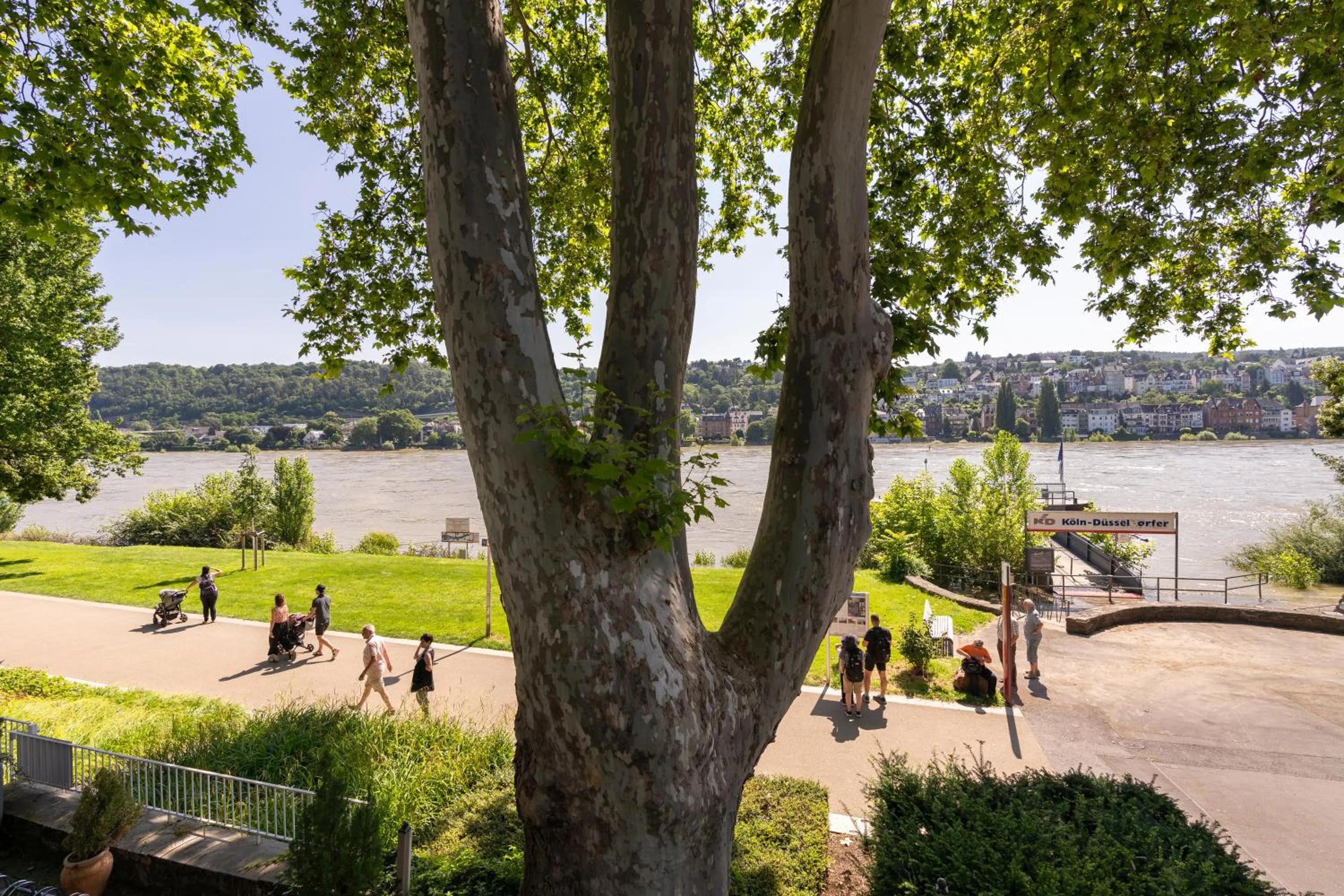 Garden in Hotel Kleiner Riesen