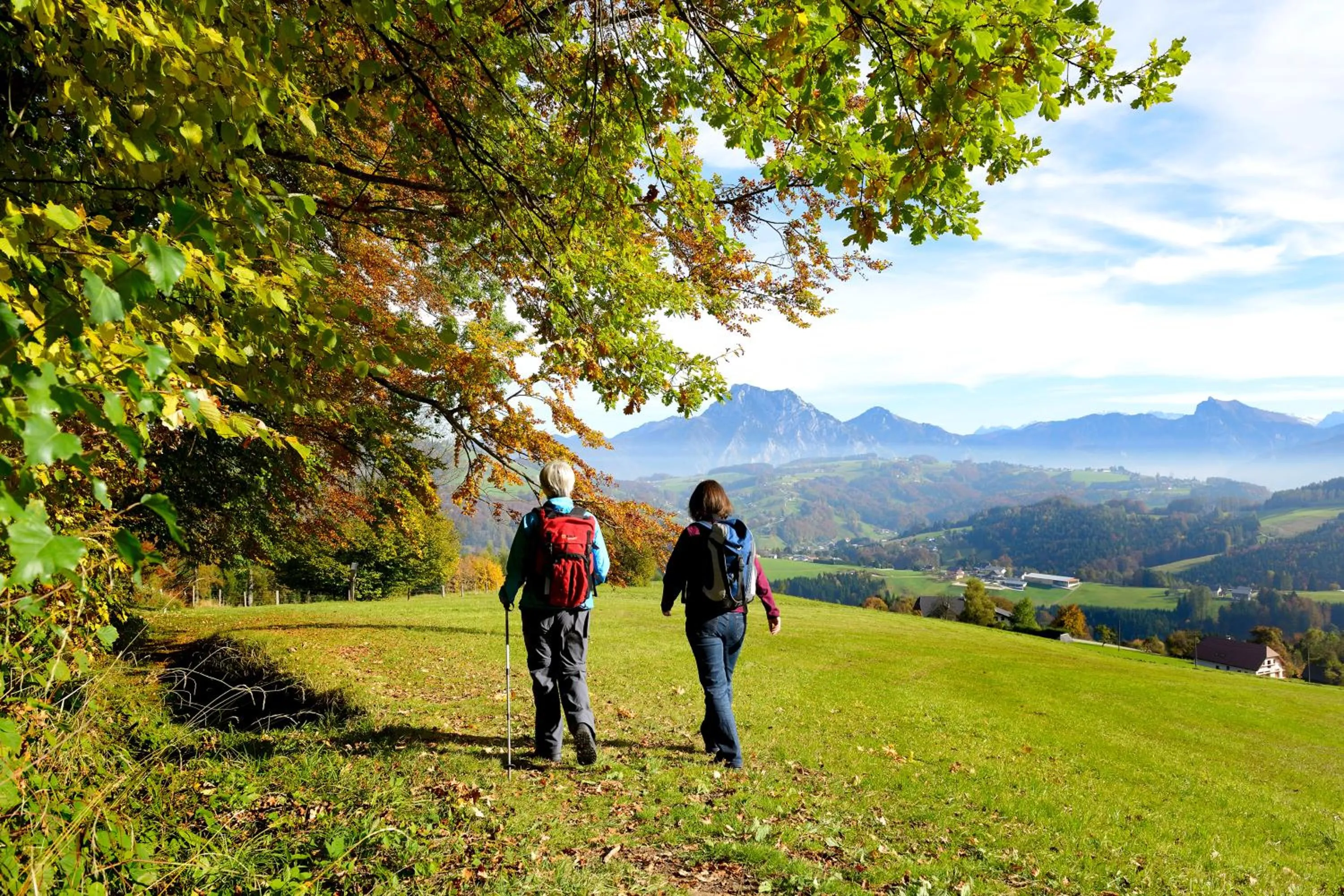 Natural landscape in Panorama Hotel Traunstein