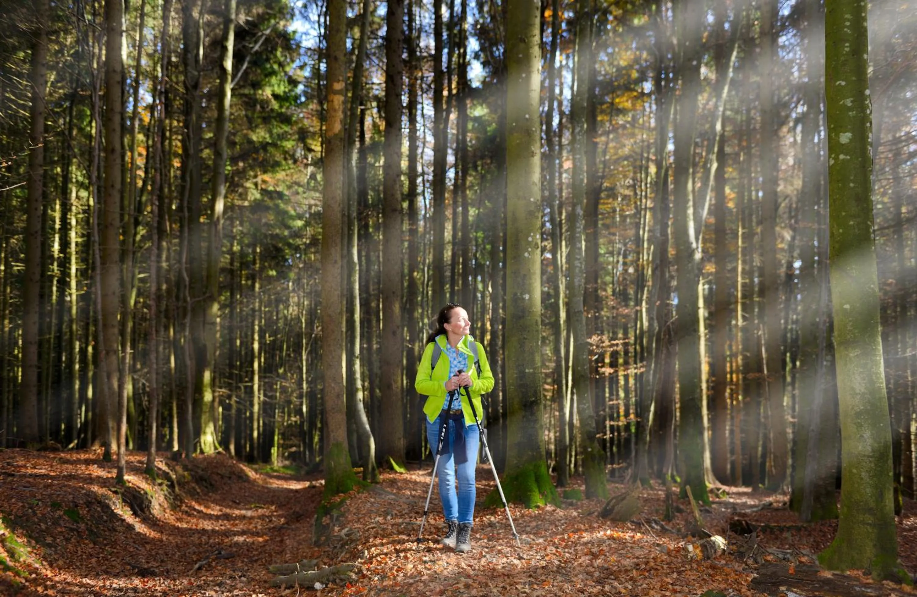 Hiking in Panorama Hotel Traunstein