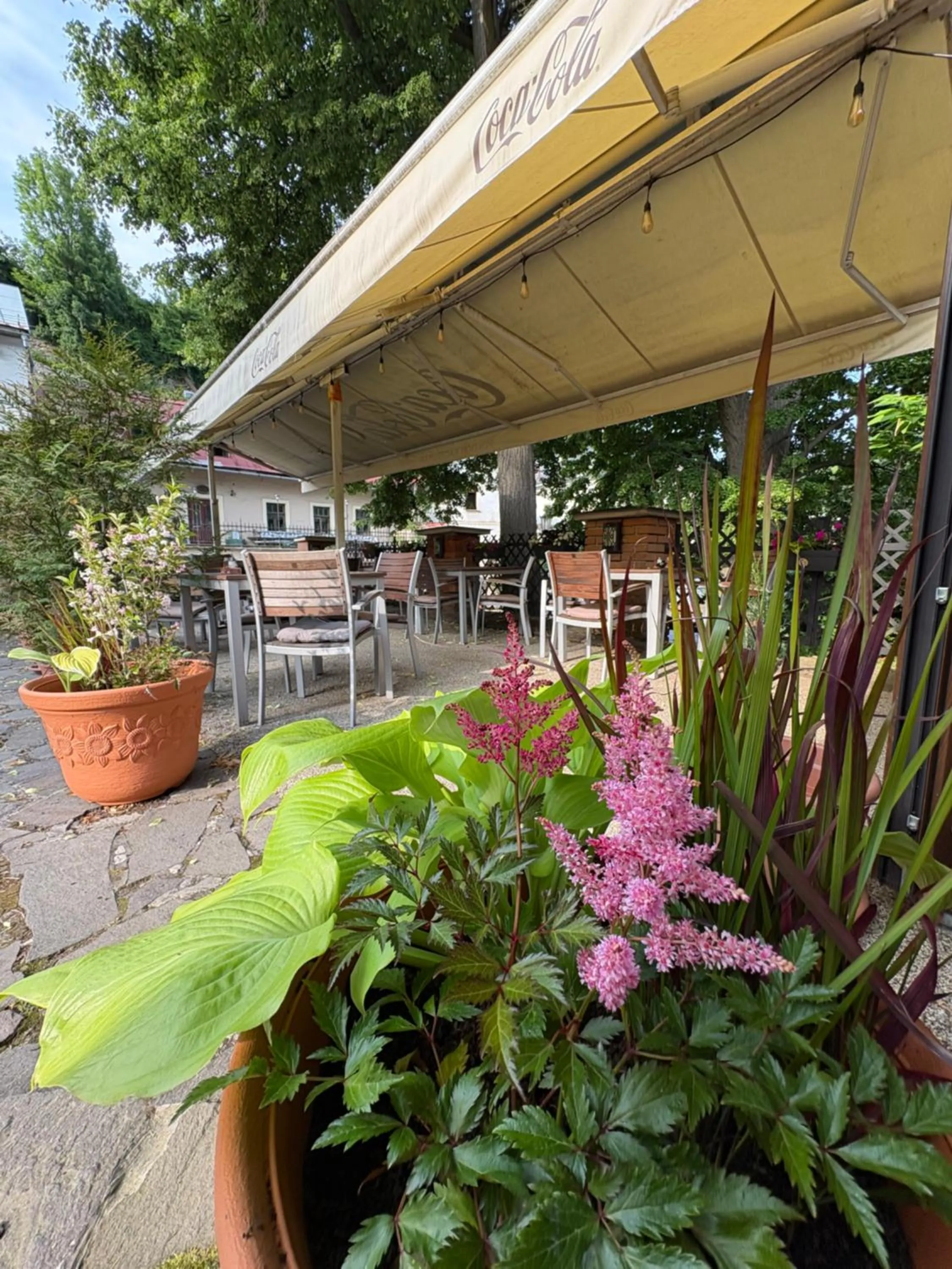 Restaurant/places to eat in Penzión Kachelman