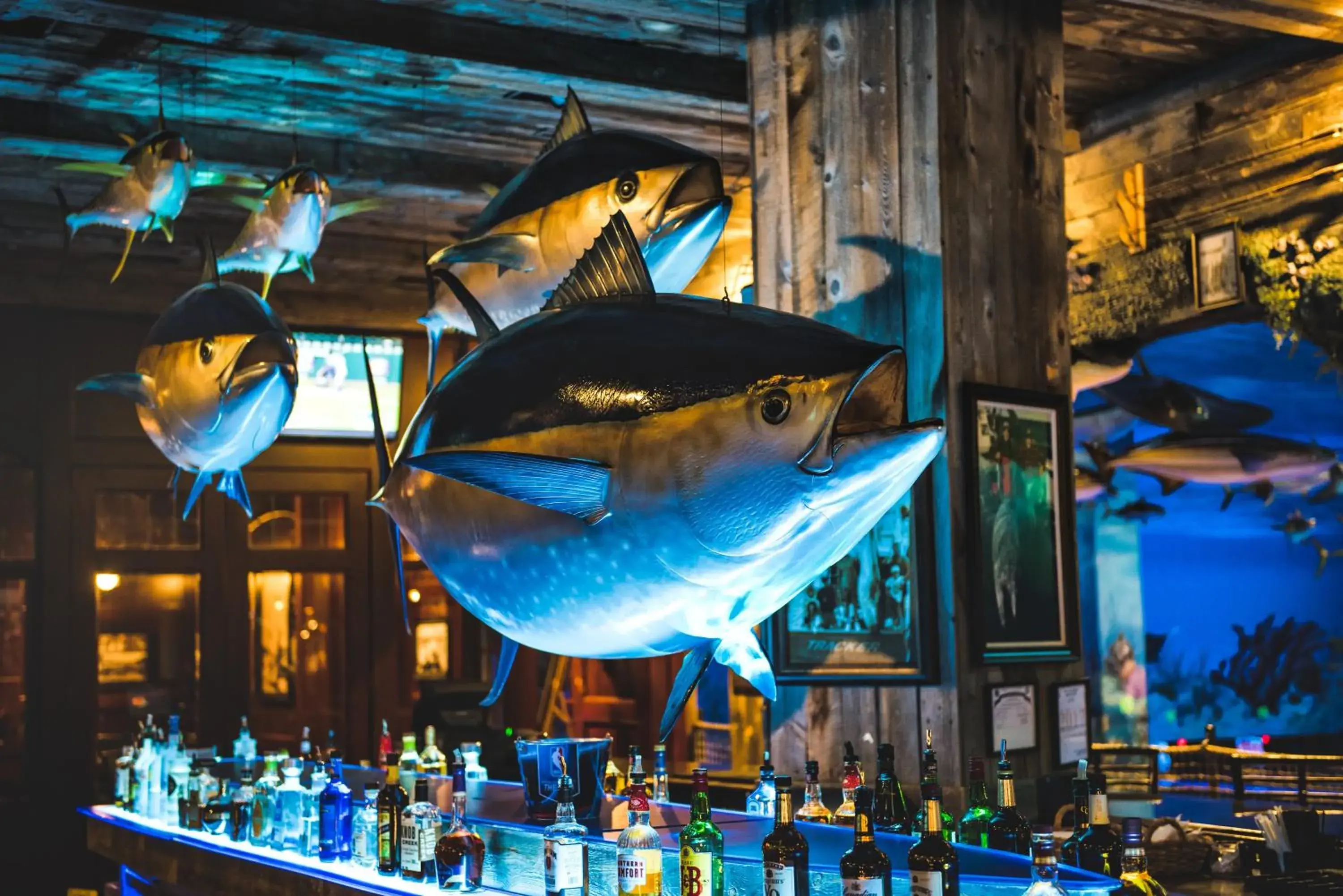 Lounge or bar in Big Cypress Lodge Lounge or bar in Big Cypress Lodge