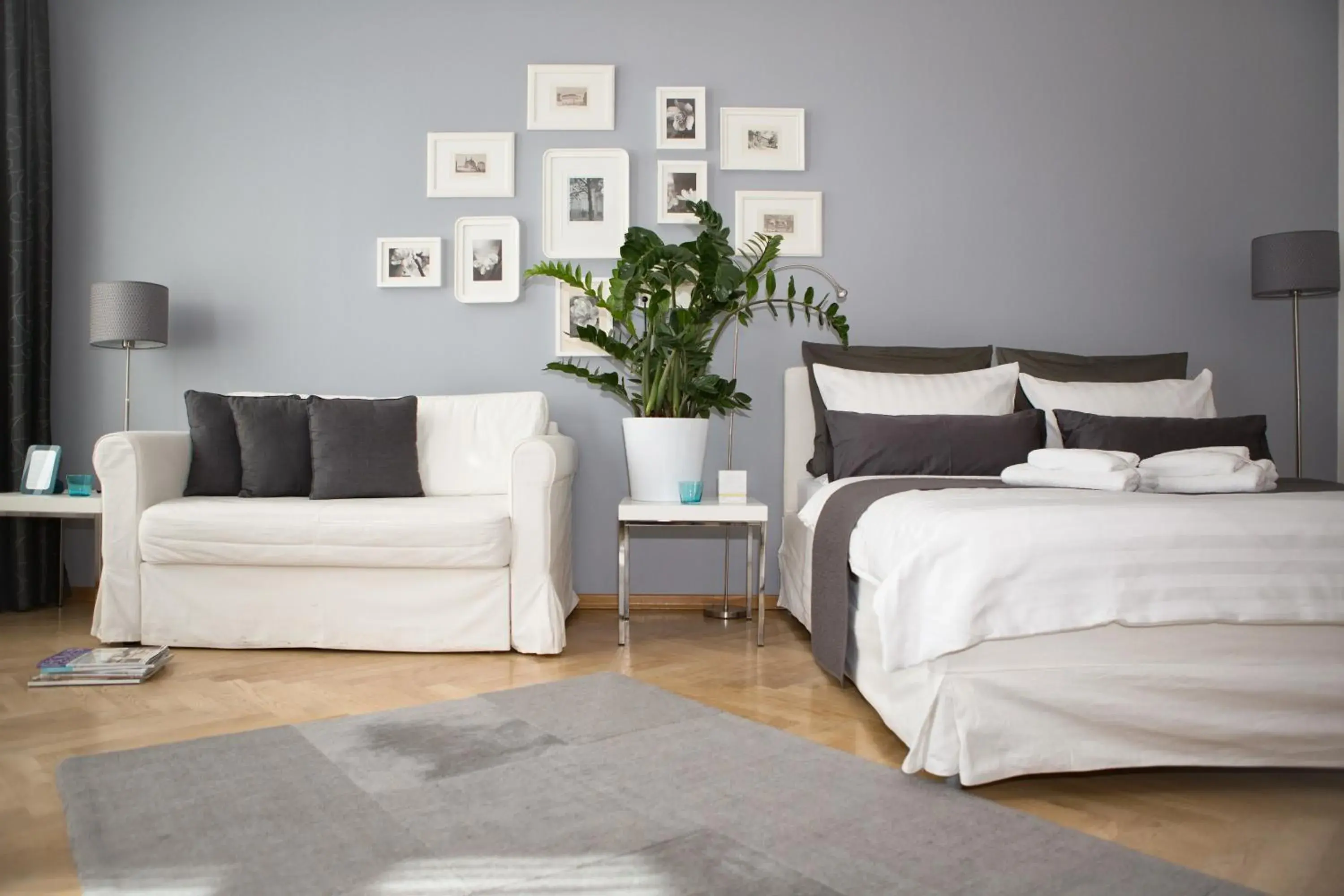 Studio Apartment - single occupancy - Riemannstr. 54.1 in Studio 44 Studio Apartment - single occupancy - Riemannstr. 54.1 in Studio 44