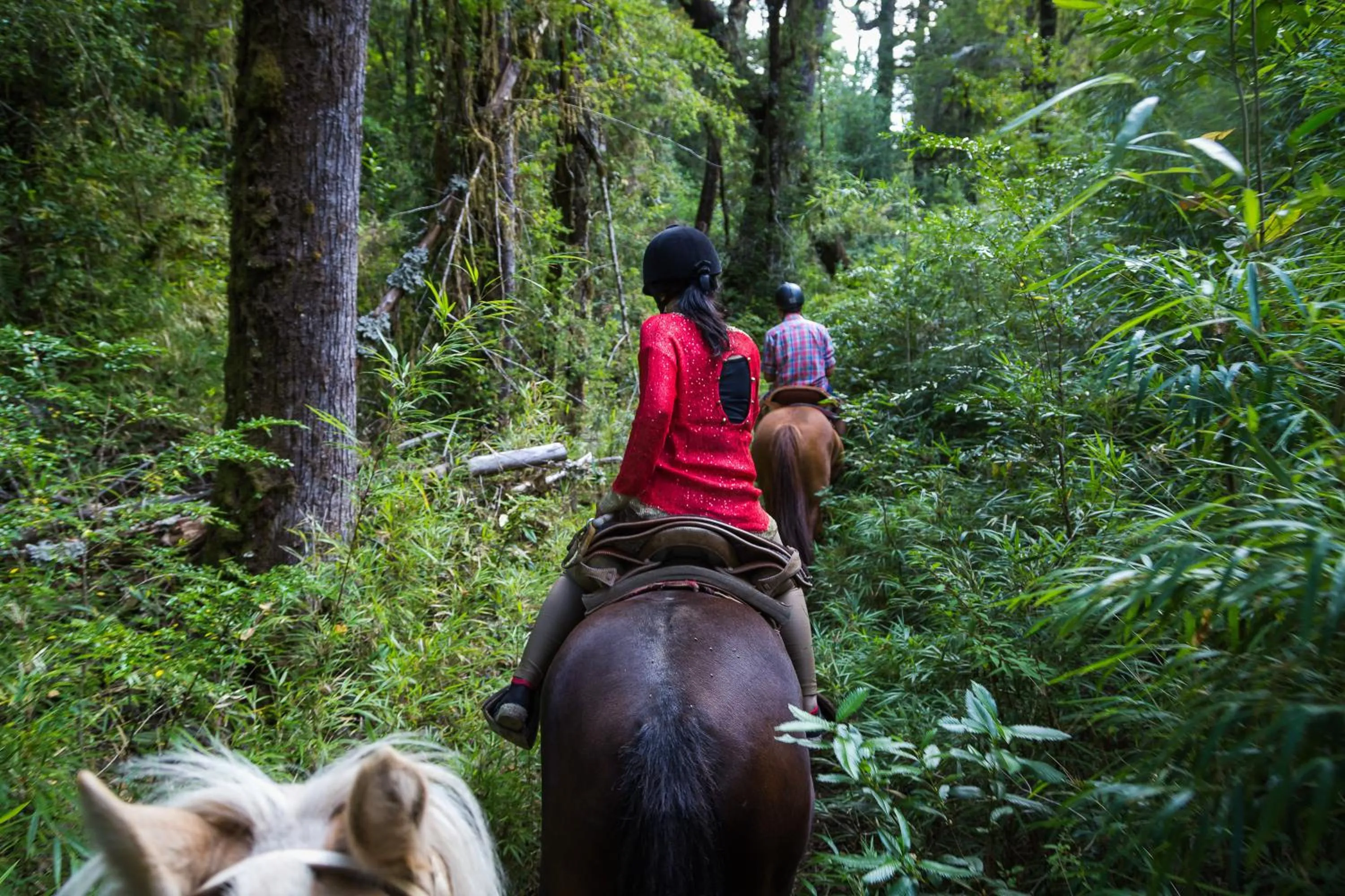 Horse-riding in Huilo Huilo Nothofagus Hotel & Spa