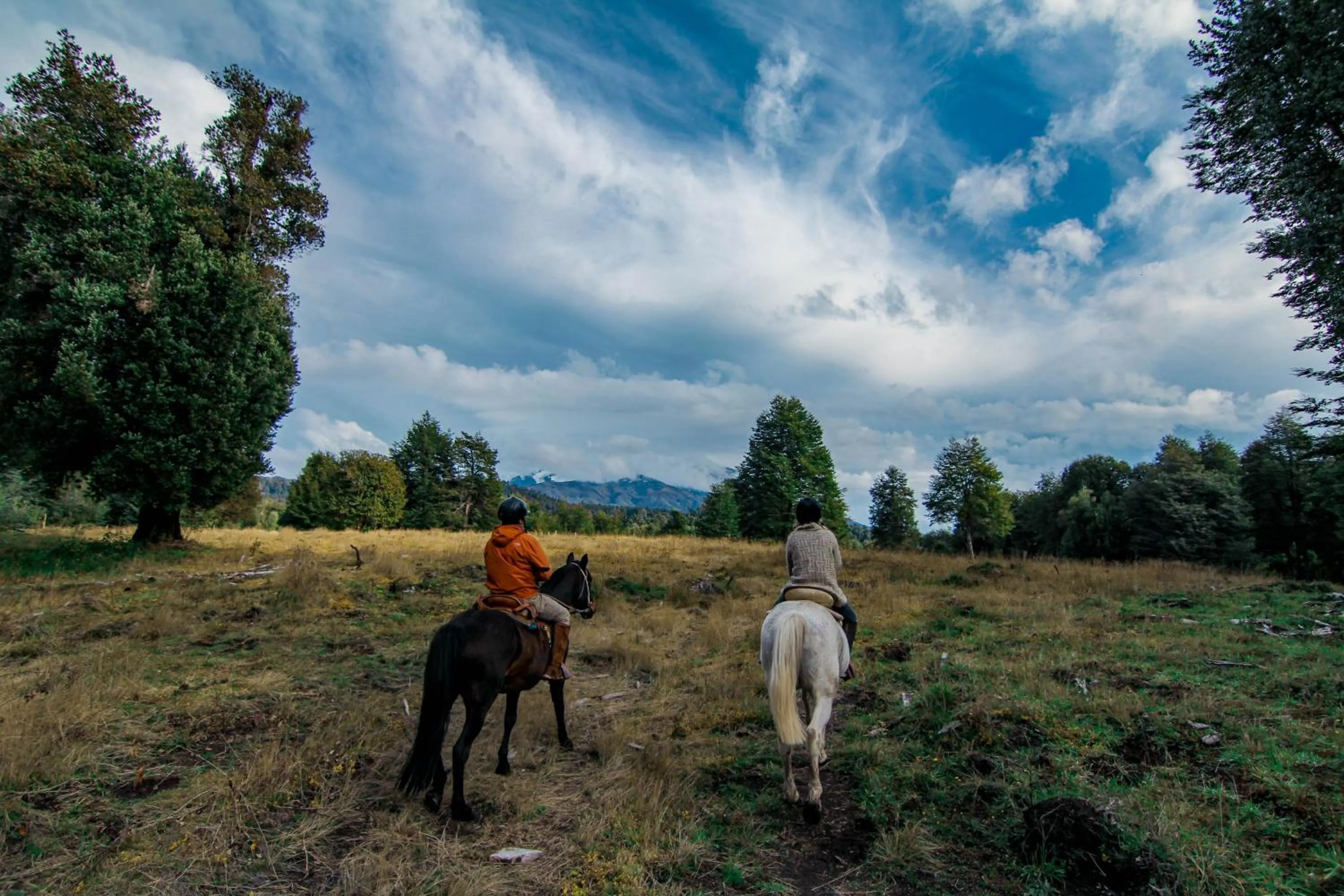 Horse-riding in Huilo Huilo Nothofagus Hotel & Spa