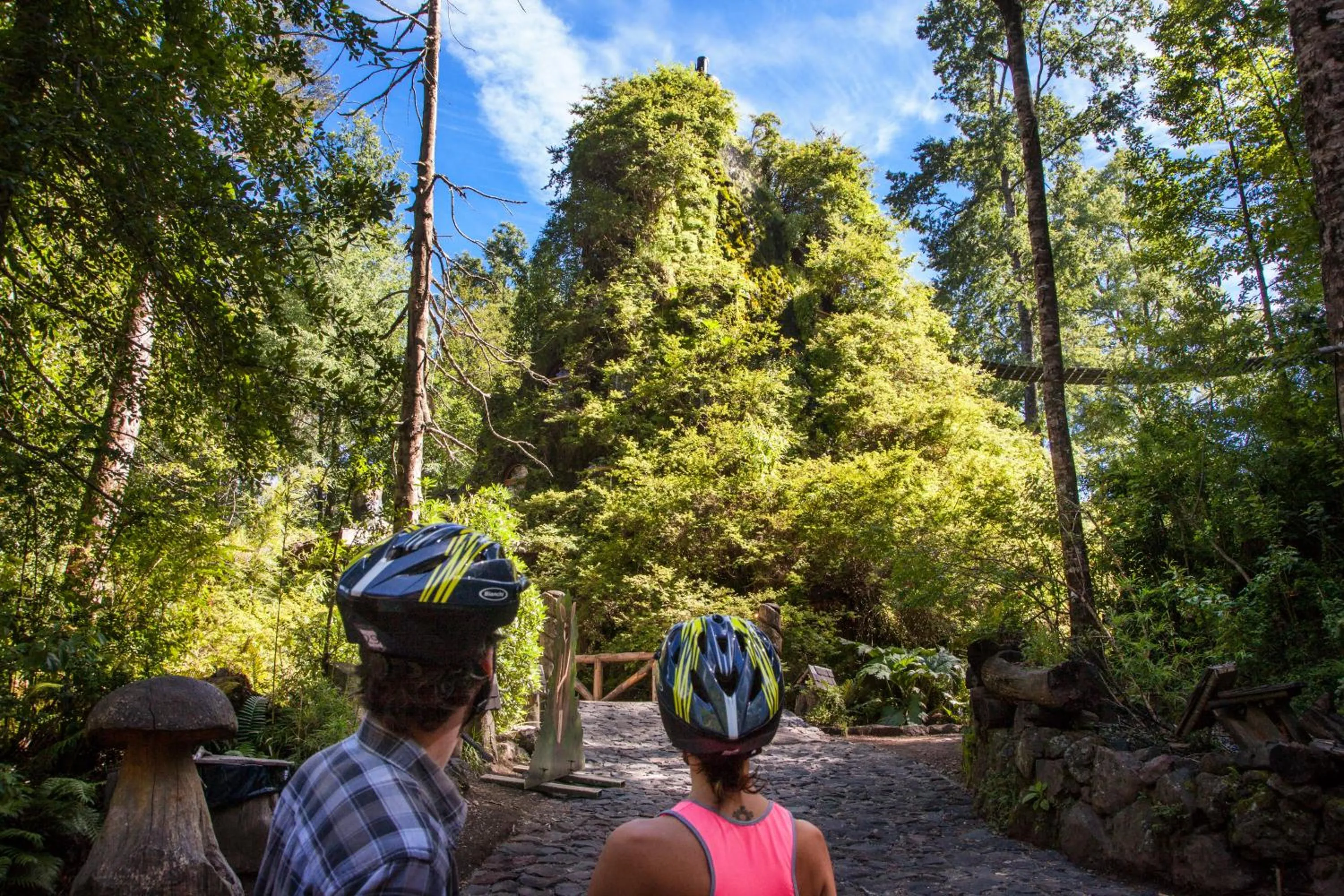 Cycling in Huilo Huilo Nothofagus Hotel & Spa