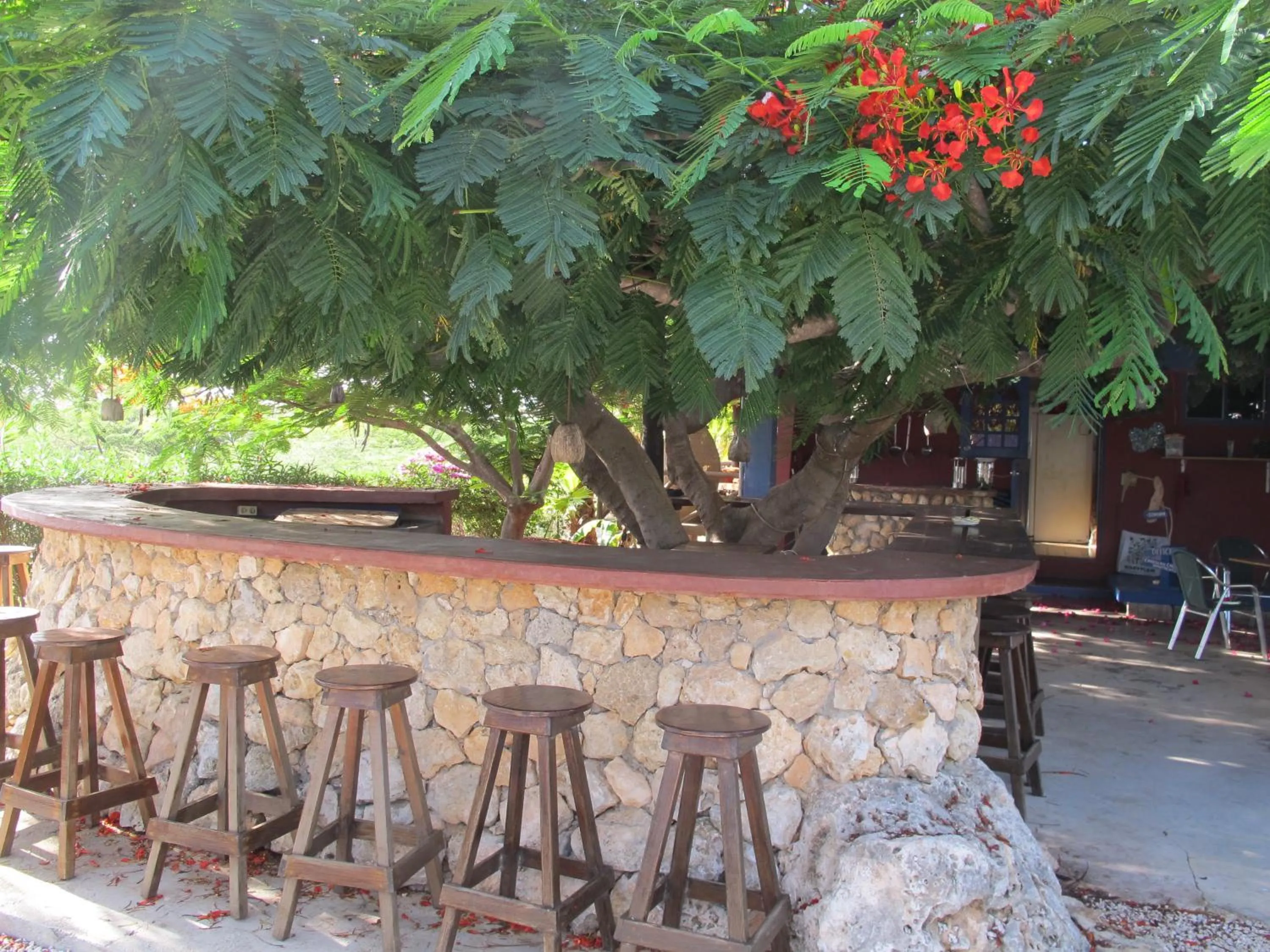 Drinks in Caribbean Chillout Apartments