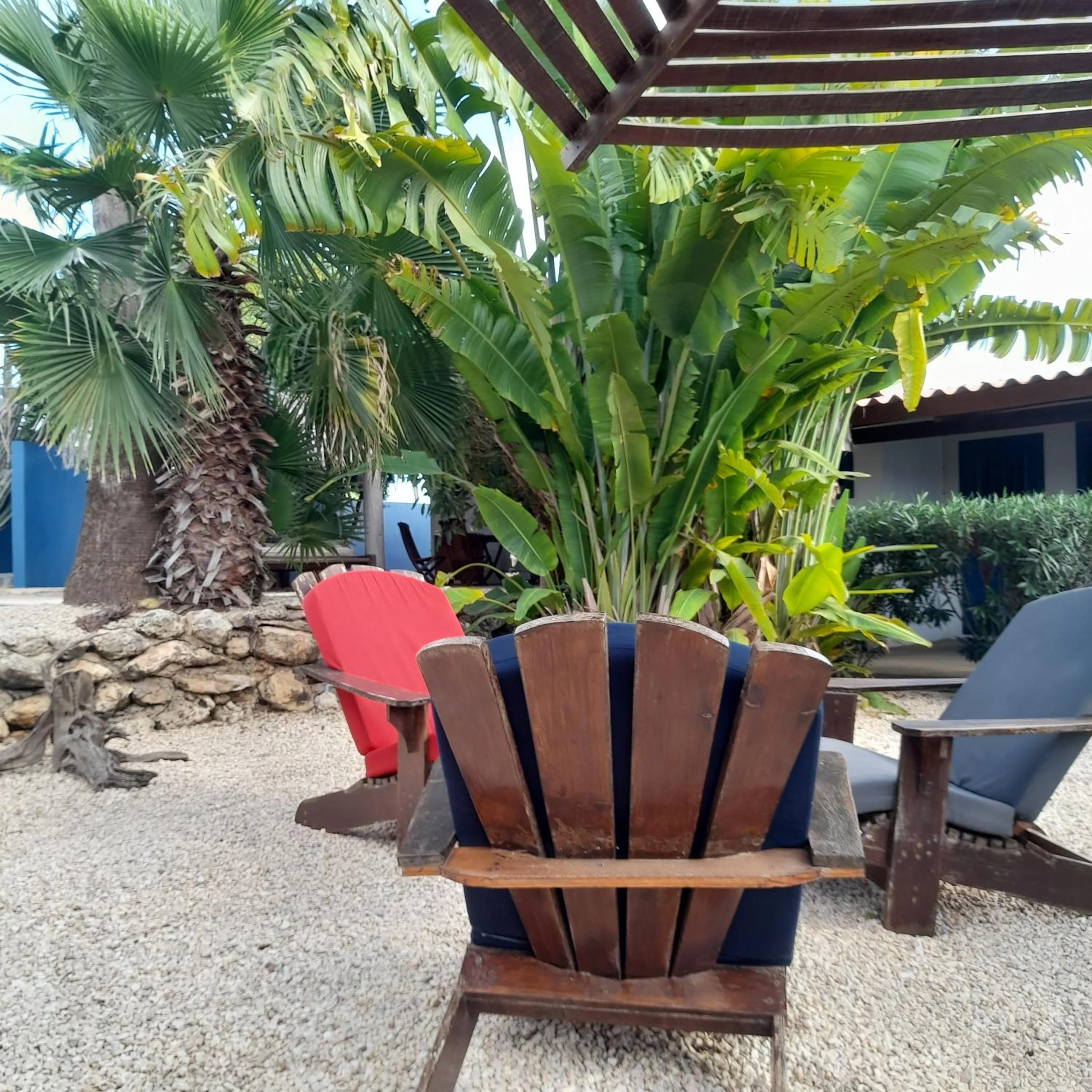 Garden in Caribbean Chillout Apartments