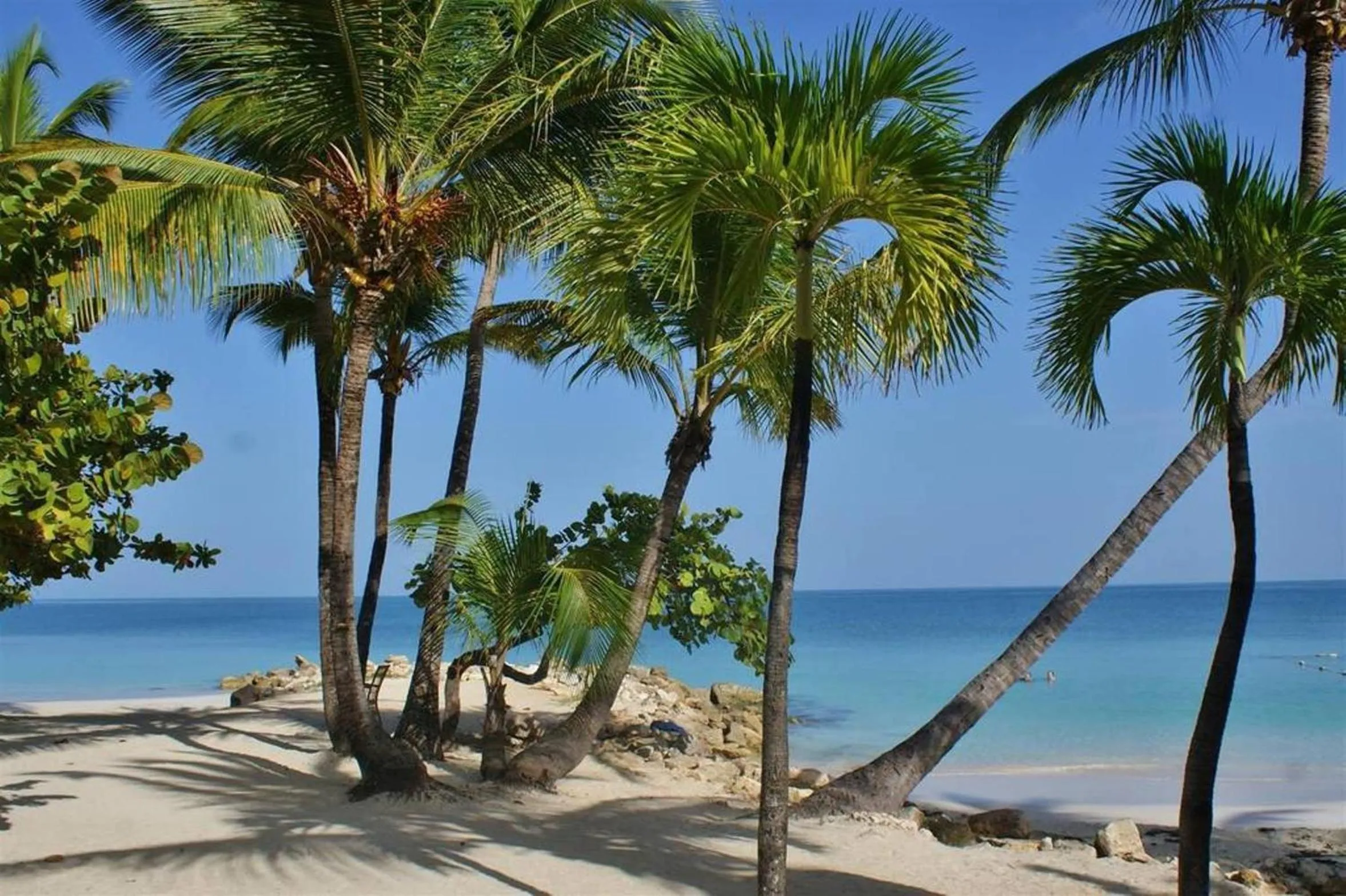 Beach in Siboney Beach Club