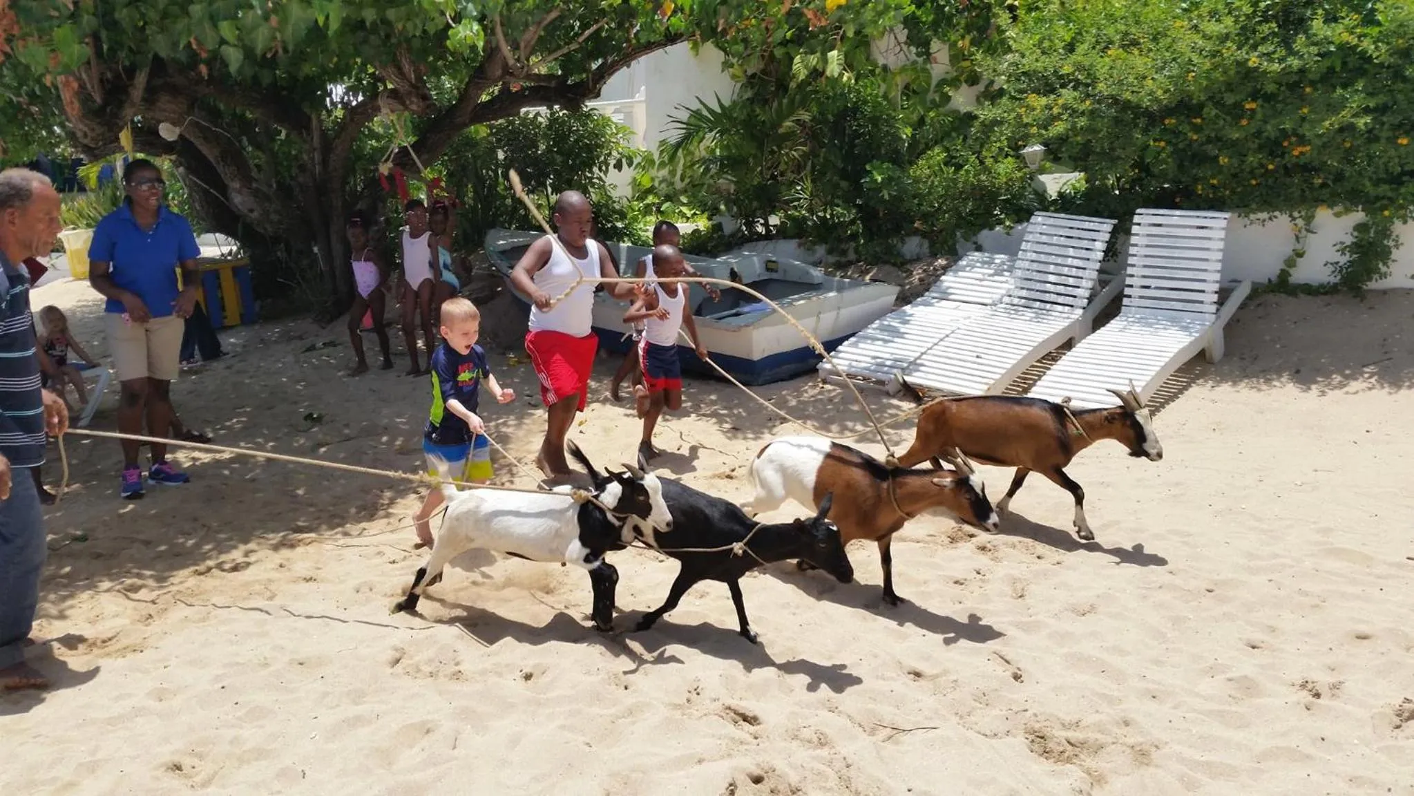 Entertainment in Franklyn D Resort & Spa All Inclusive