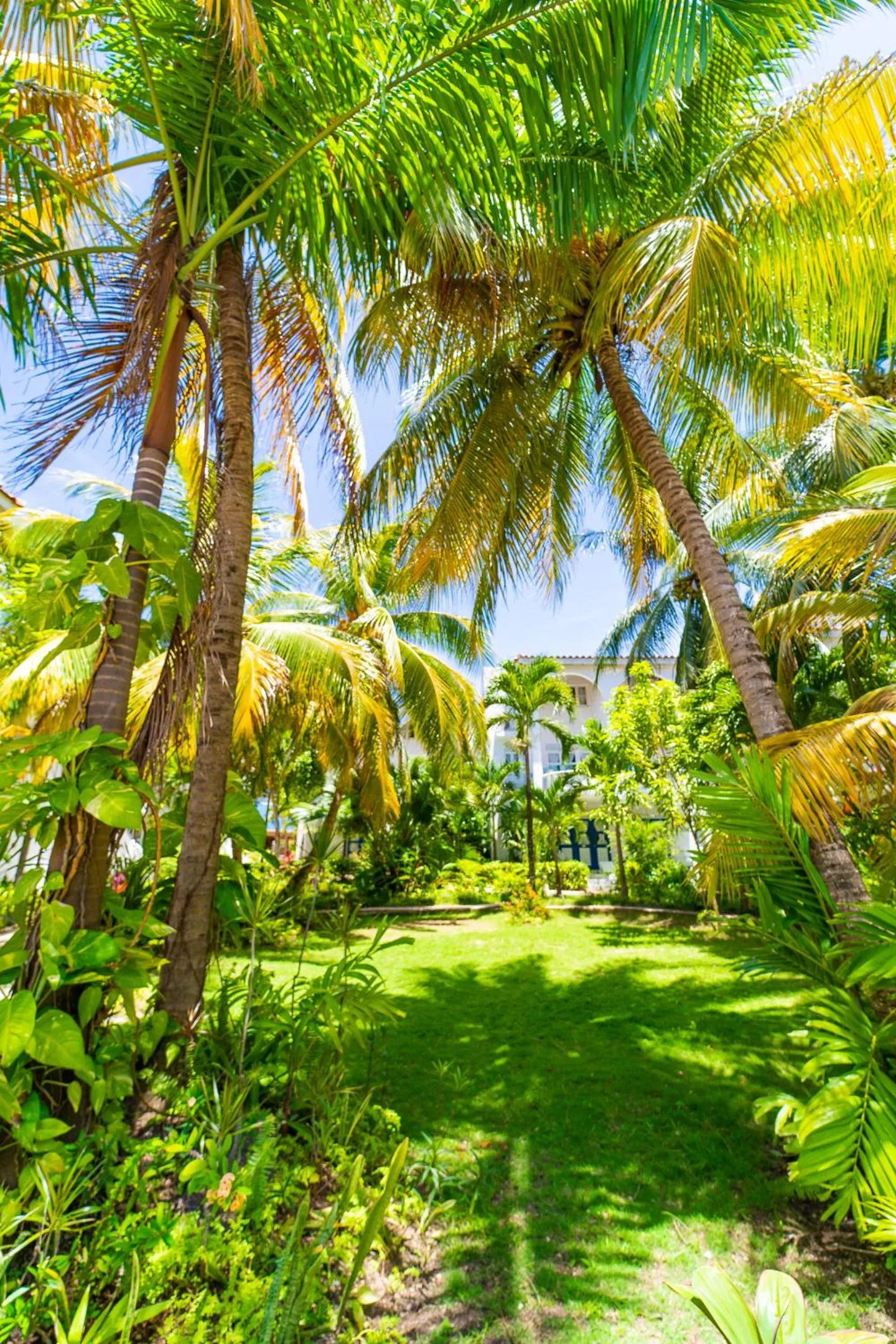 Franklyn D Resort & Spa All Inclusive