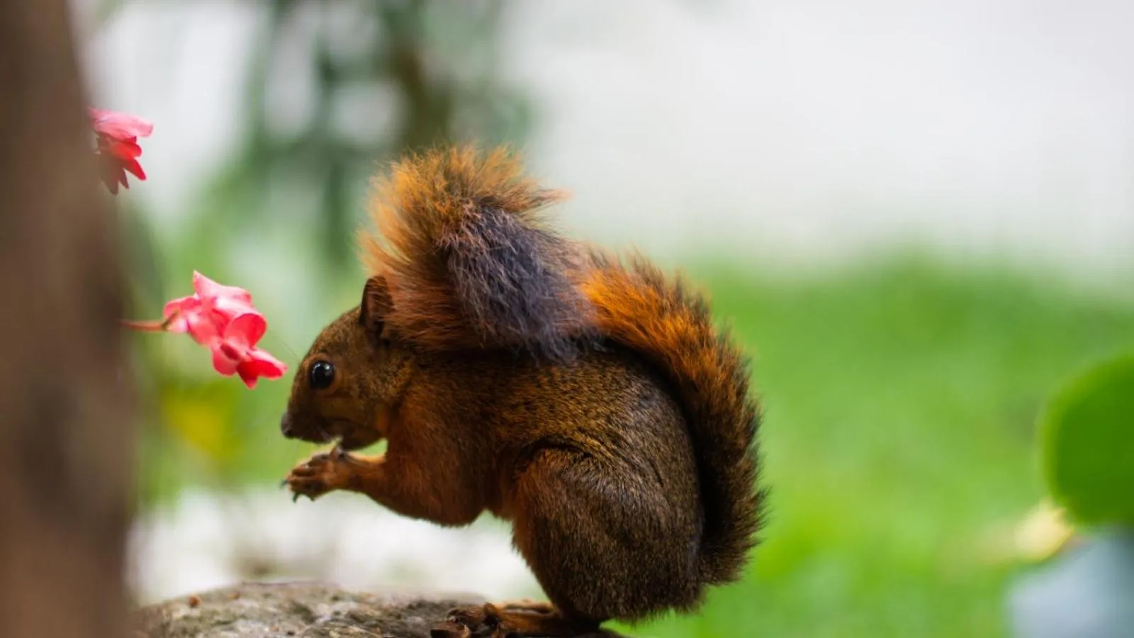 Greenview Medellin By St Hoteles