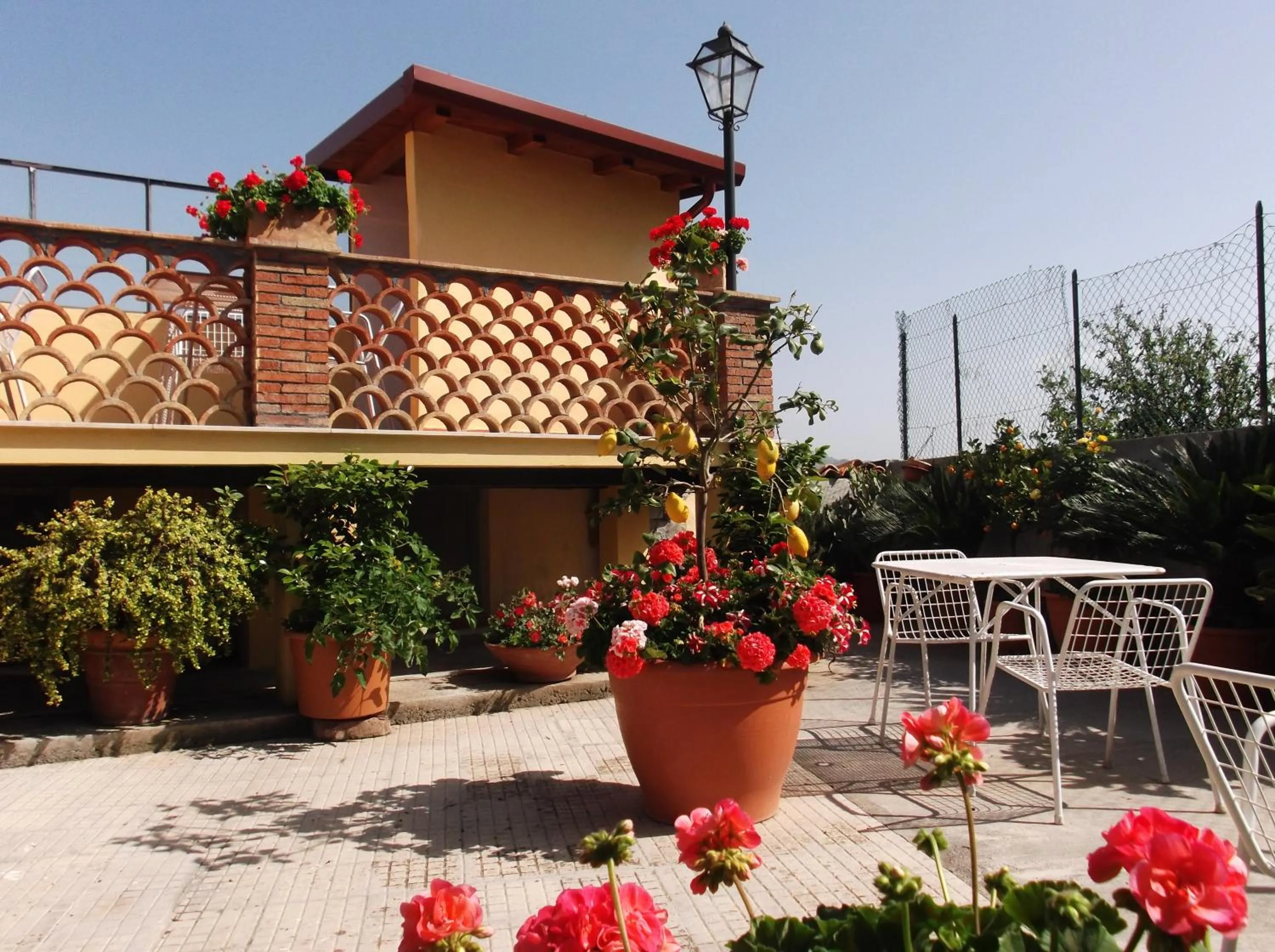 Garden in B&B U Palmentu