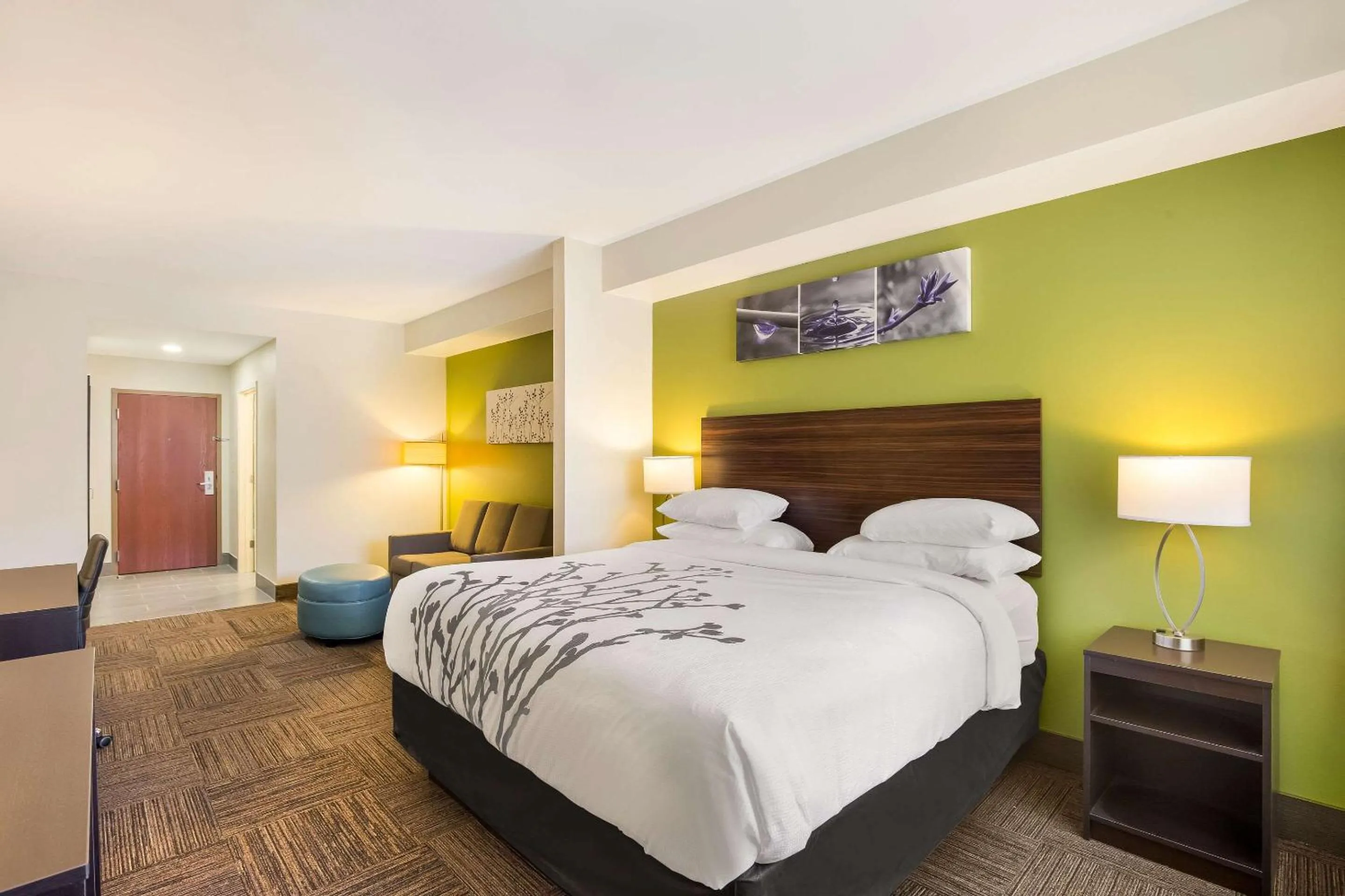 Bedroom, Bed in Sleep Inn & Suites North Mobile Saraland