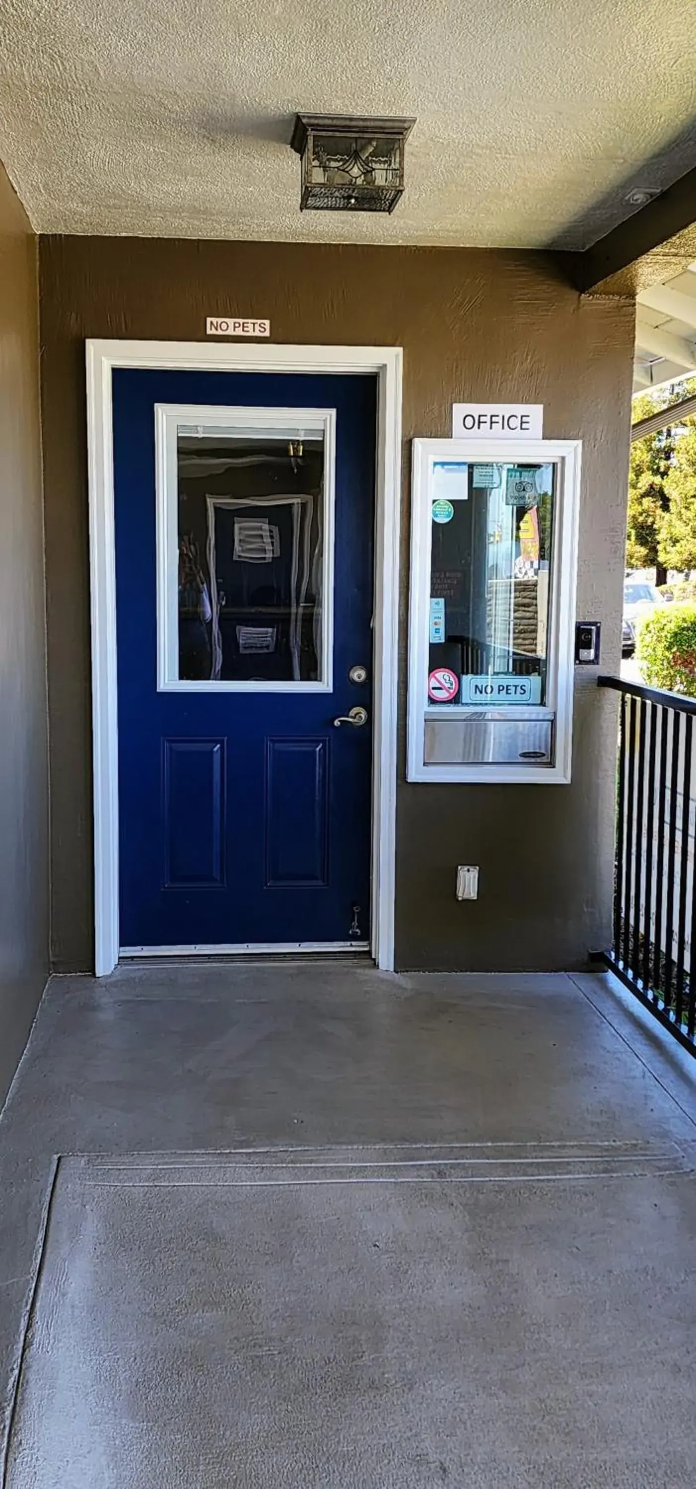 Lobby or reception in Hotel Belmont Lobby or reception in Hotel Belmont