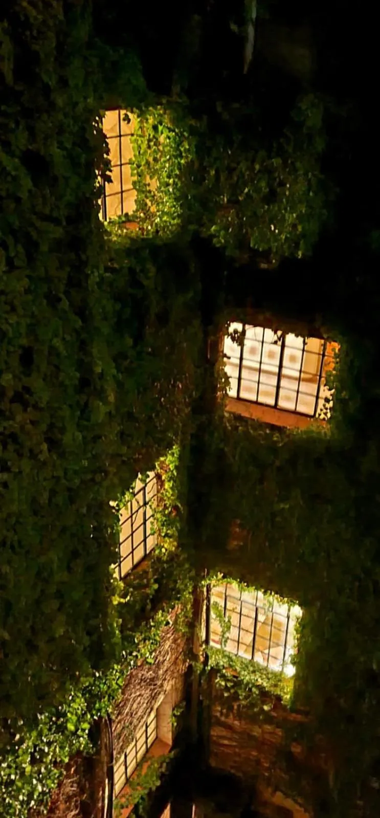 Night in Asuncion Palace