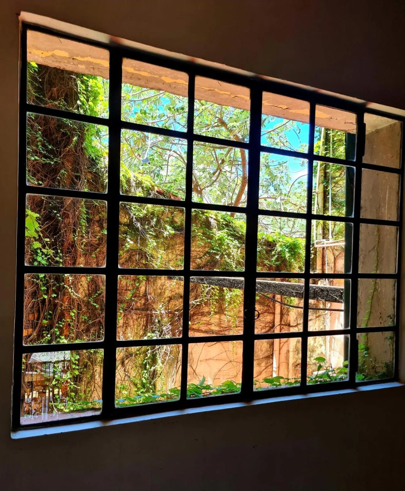 Day in Asuncion Palace