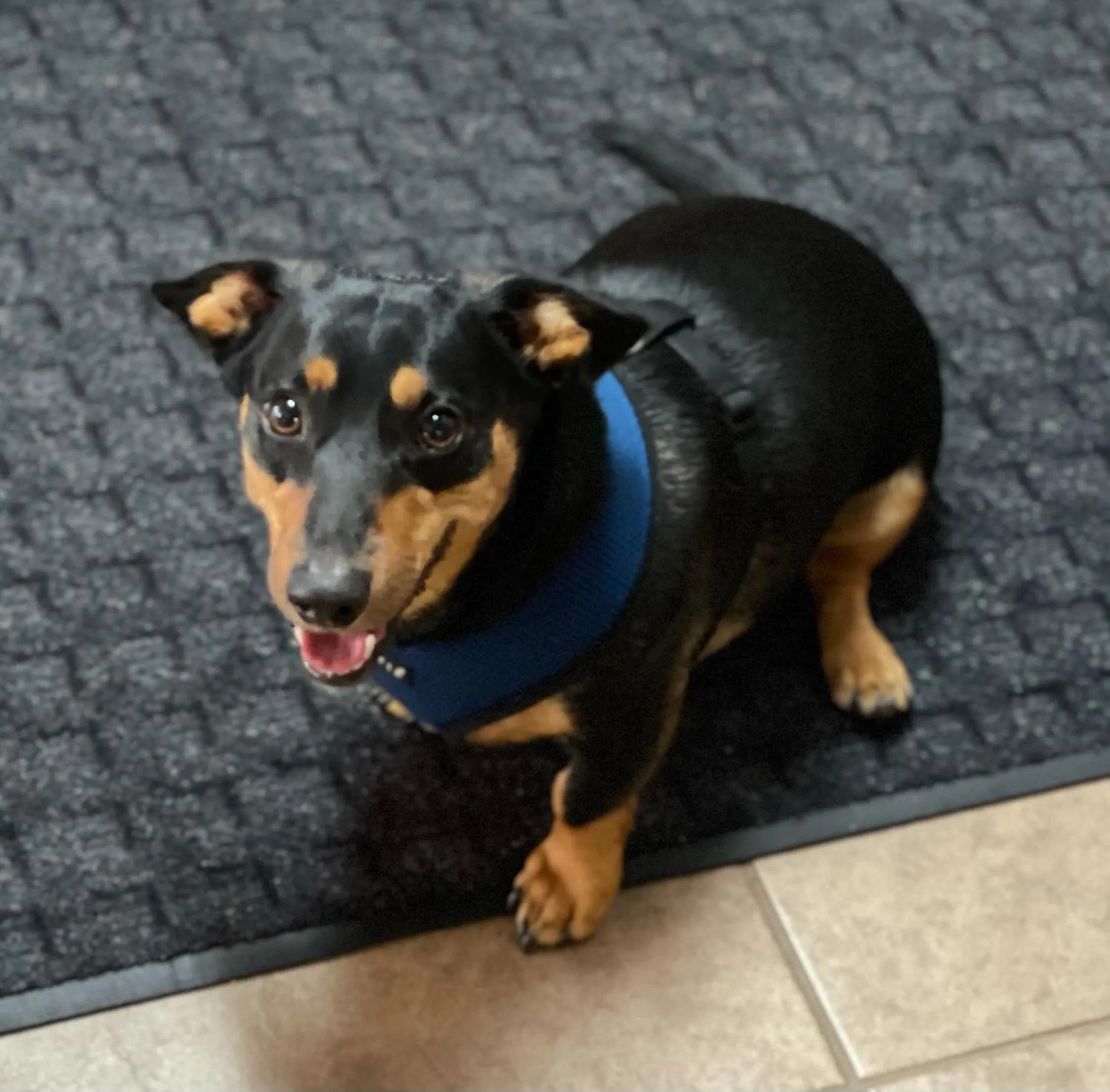 Property building in Southfork Motel