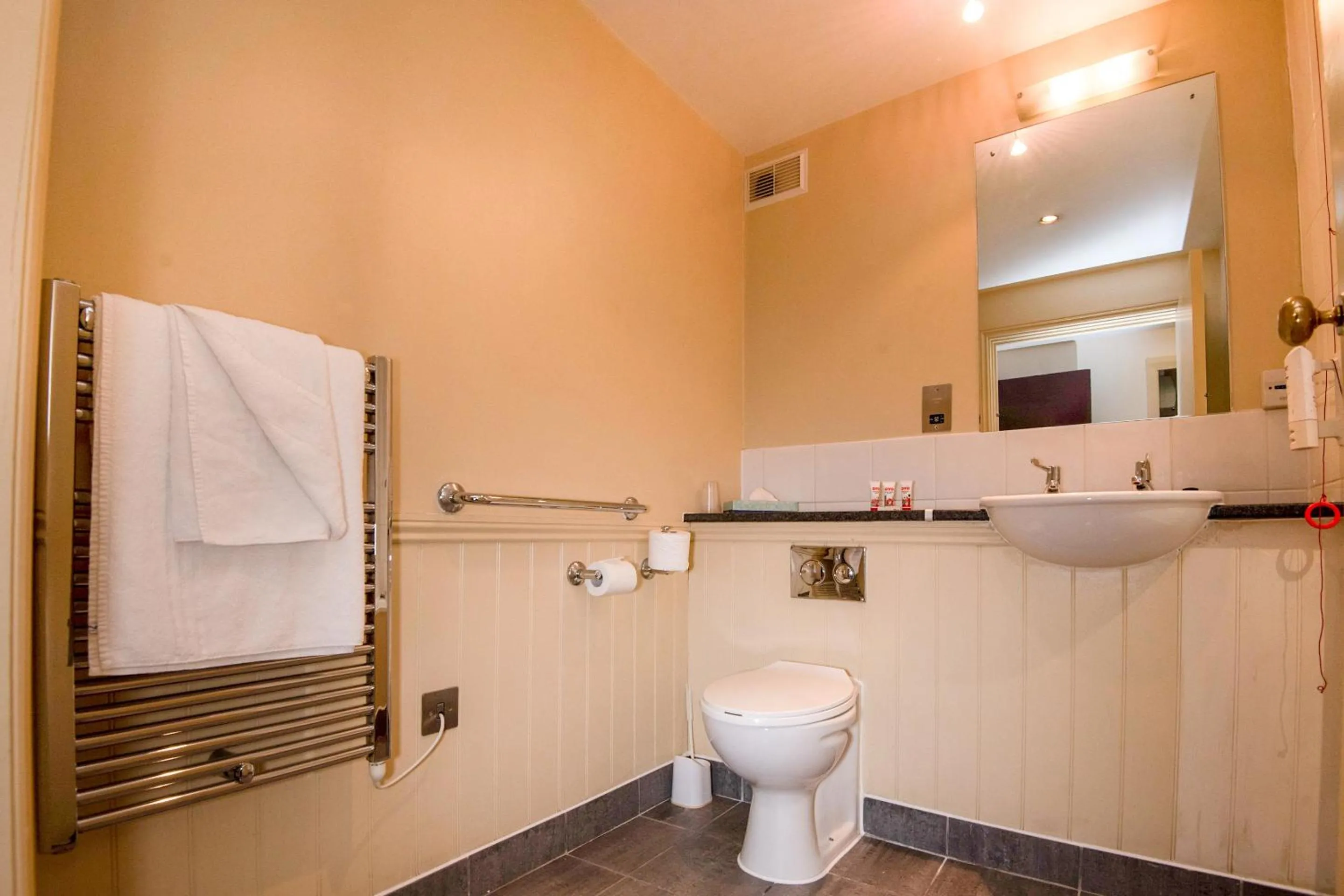 Bathroom in The Bridge House Hotel