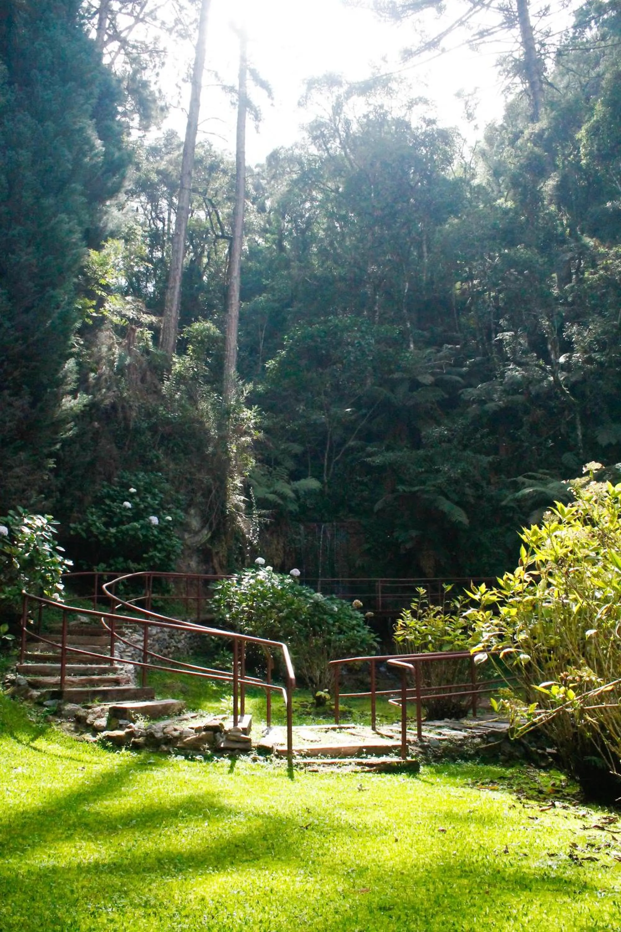 Natural landscape in Hotel Platanus