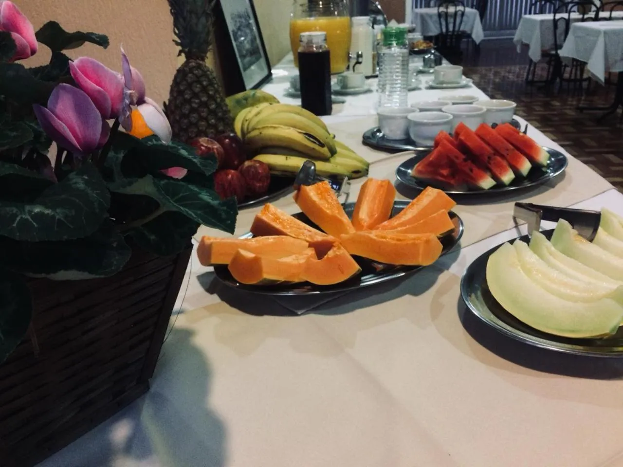 Breakfast in Hotel Platanus