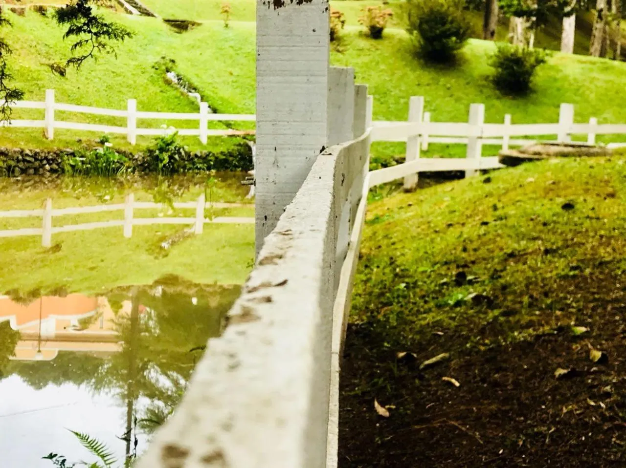 Natural landscape in Hotel Platanus