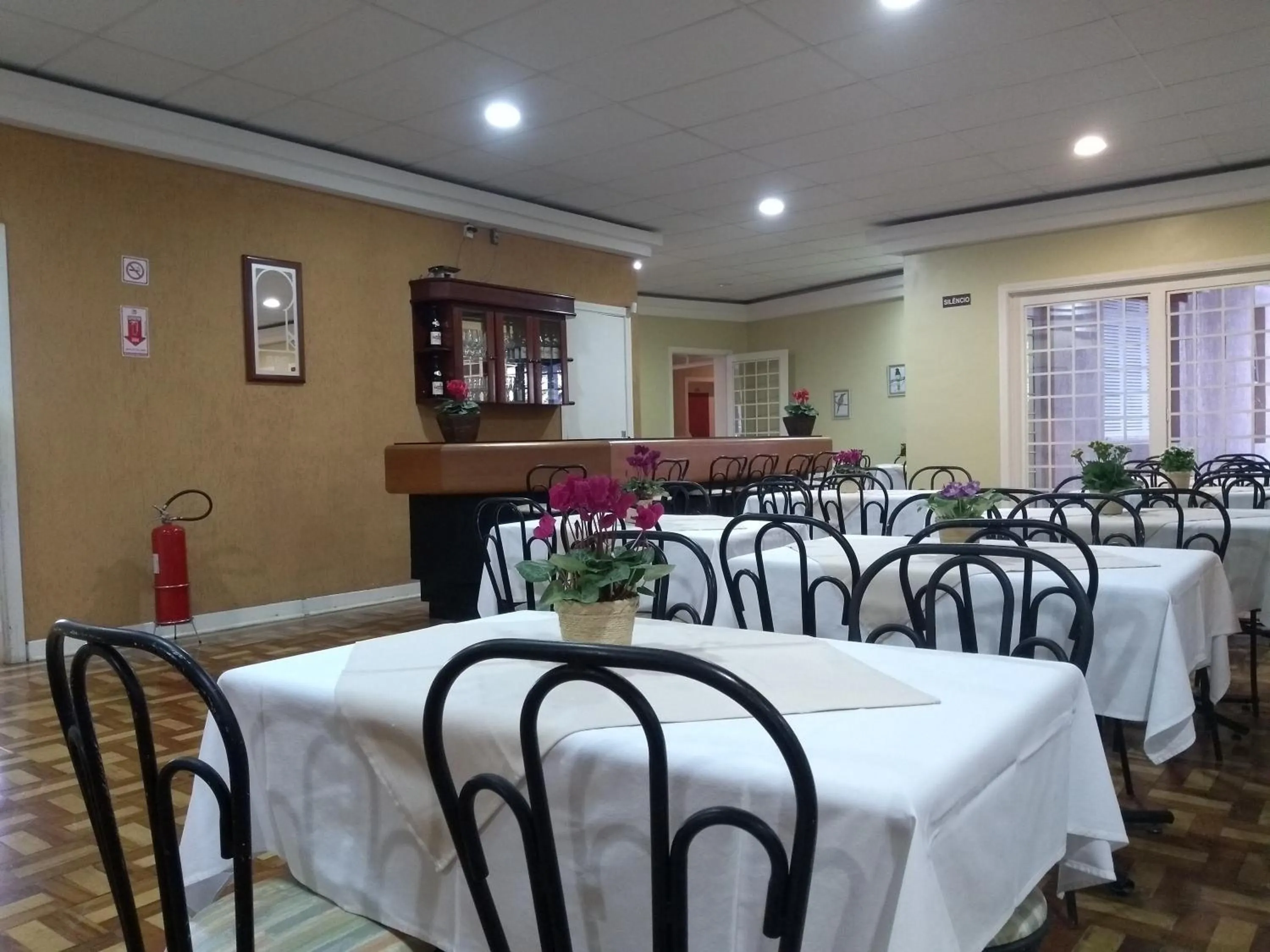 Restaurant/places to eat in Hotel Platanus