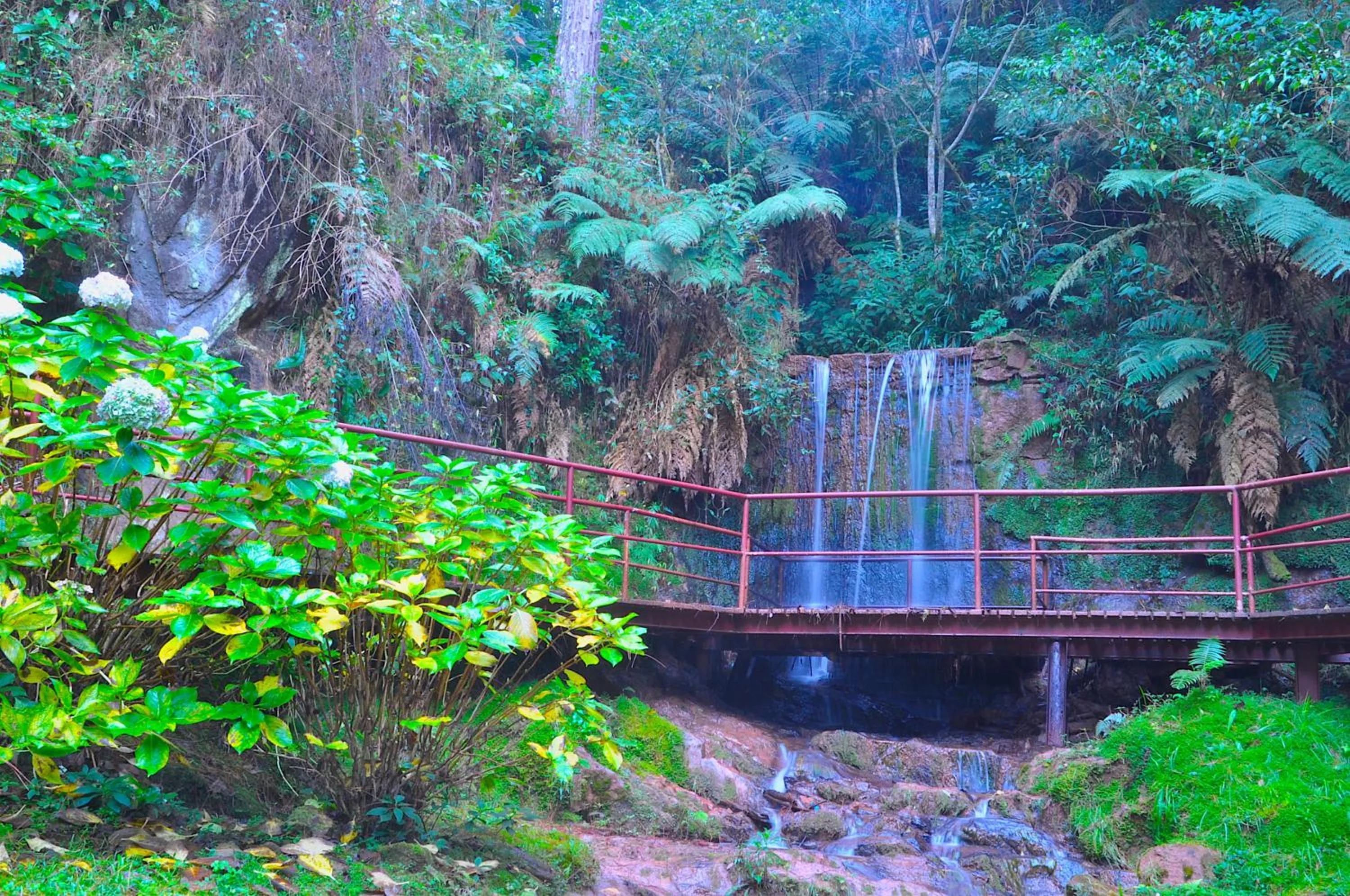 Garden in Hotel Platanus