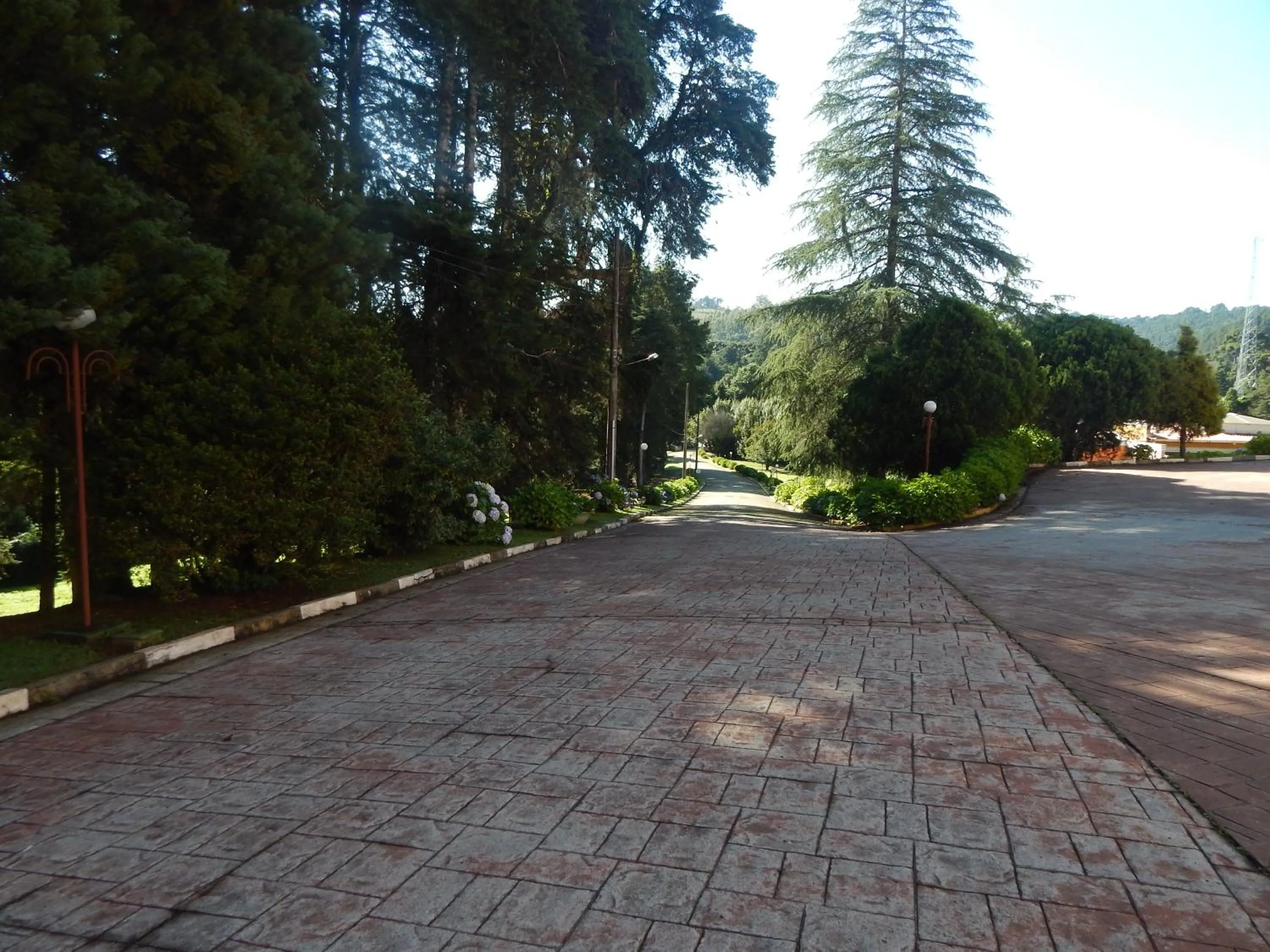 Natural landscape in Hotel Platanus