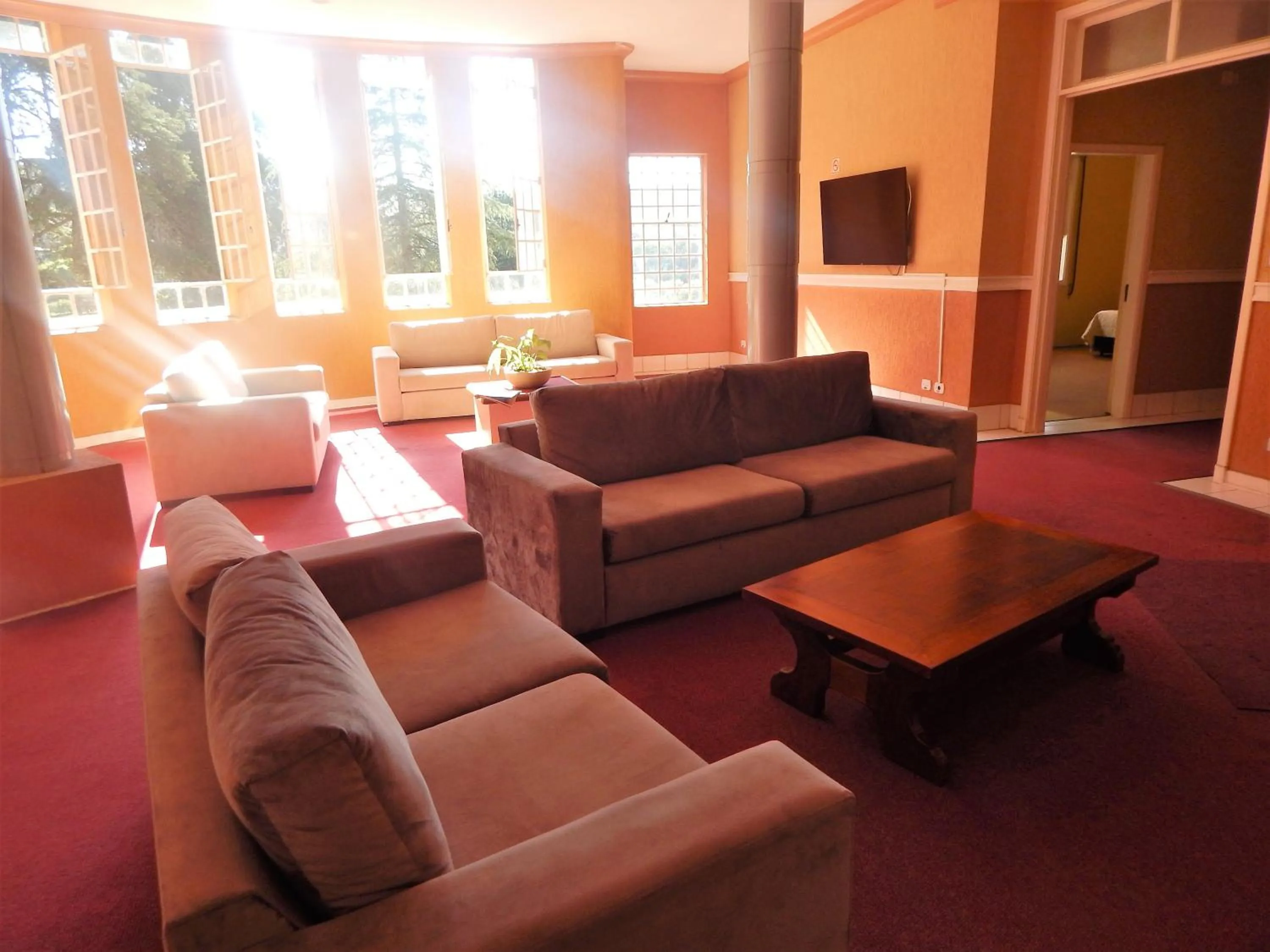 Seating area in Hotel Platanus