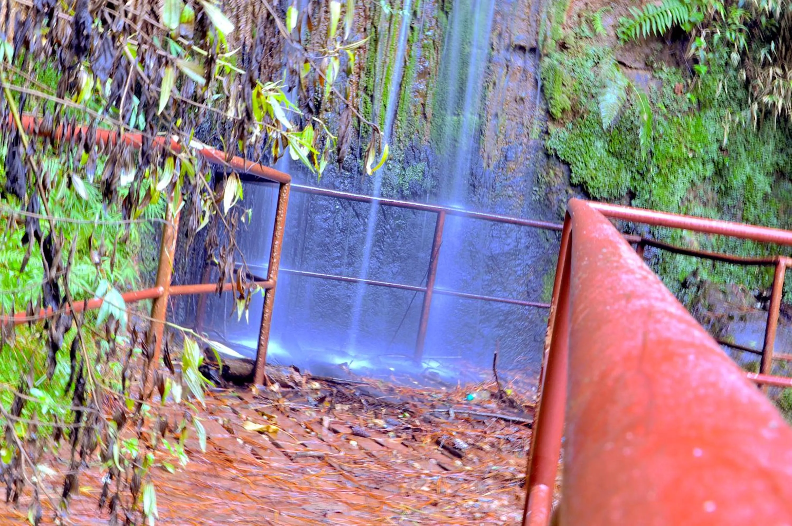 Garden in Hotel Platanus
