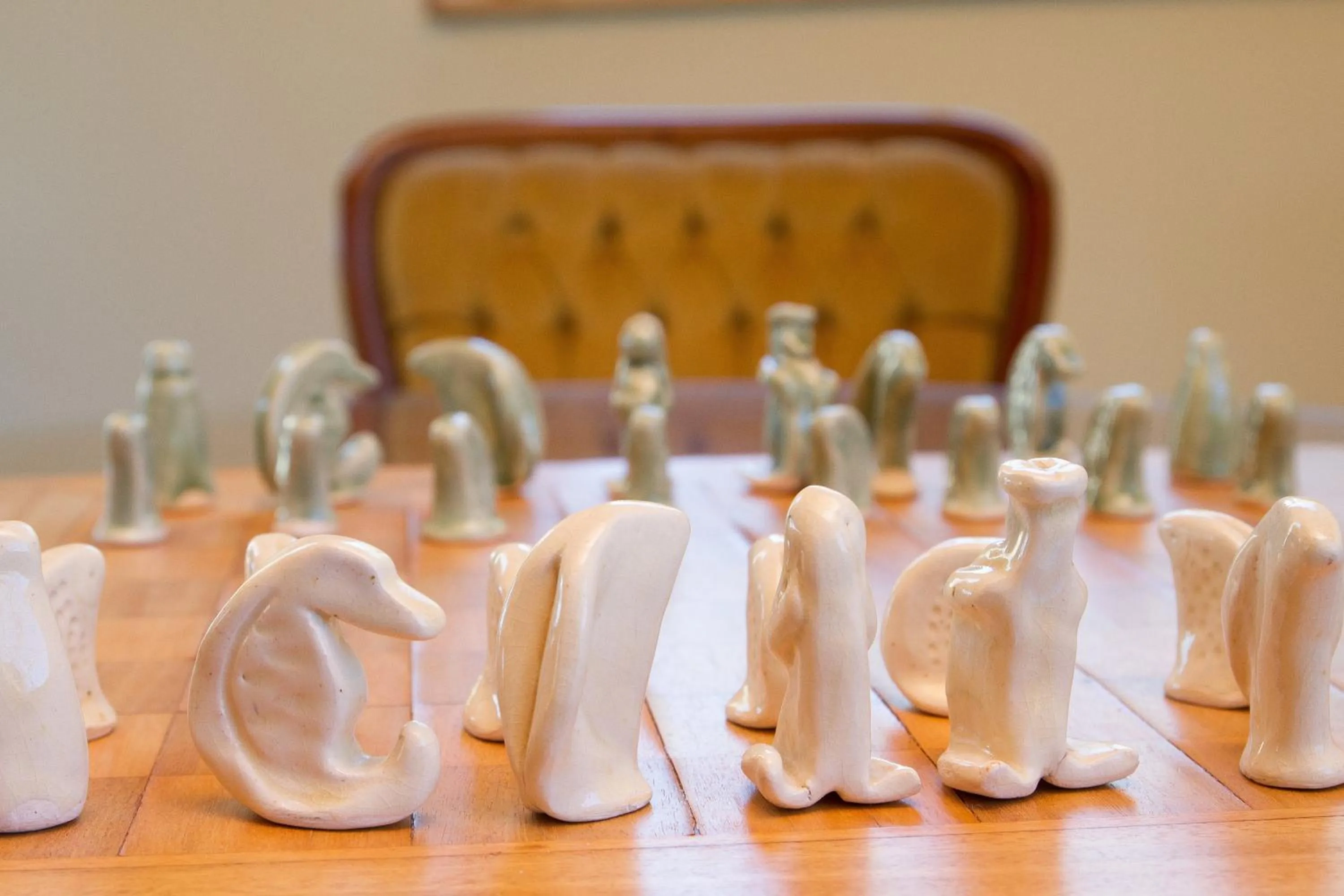 Activities in Margrain Vineyard Villas