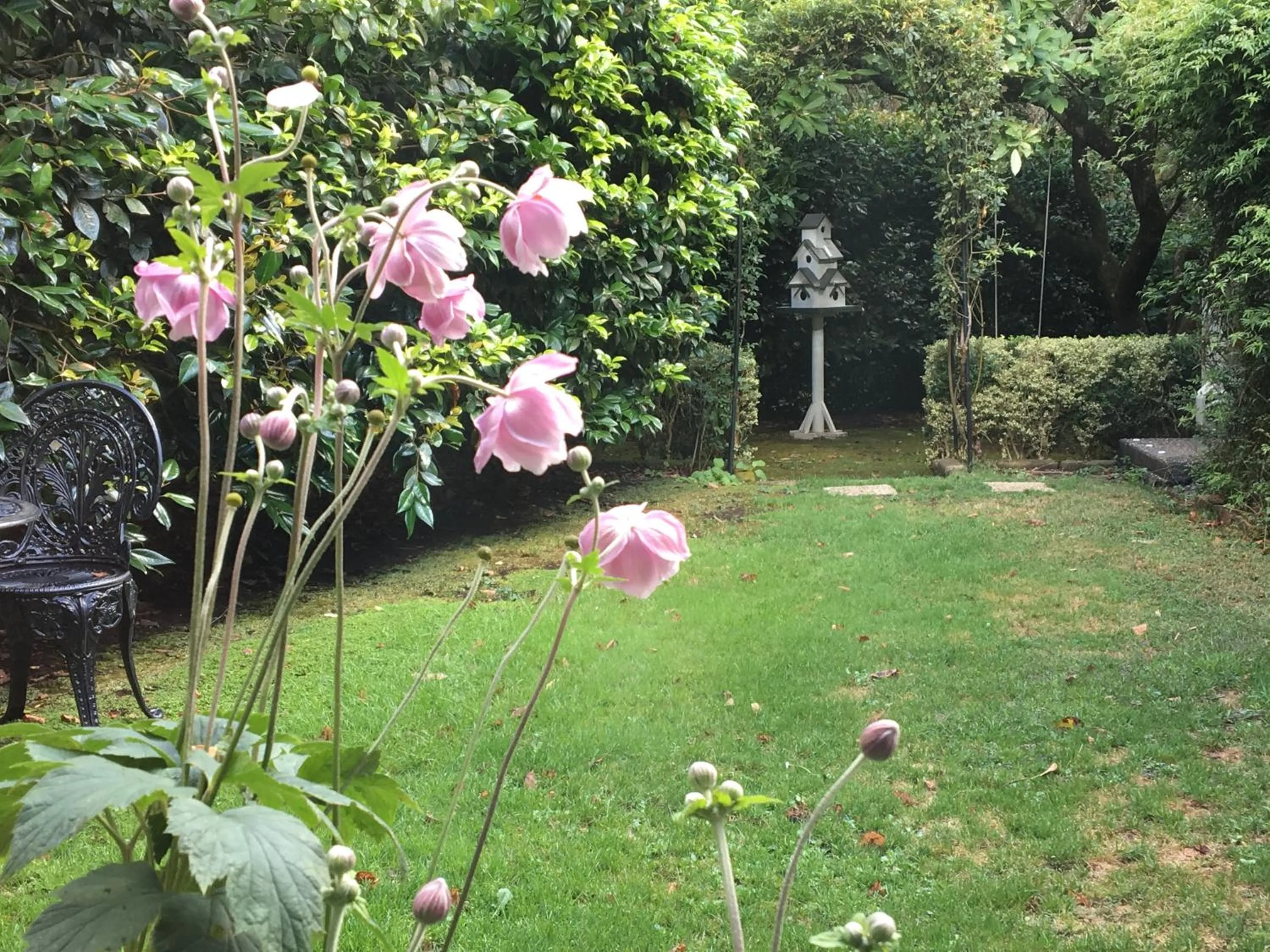 Garden in Clarendon Cottages