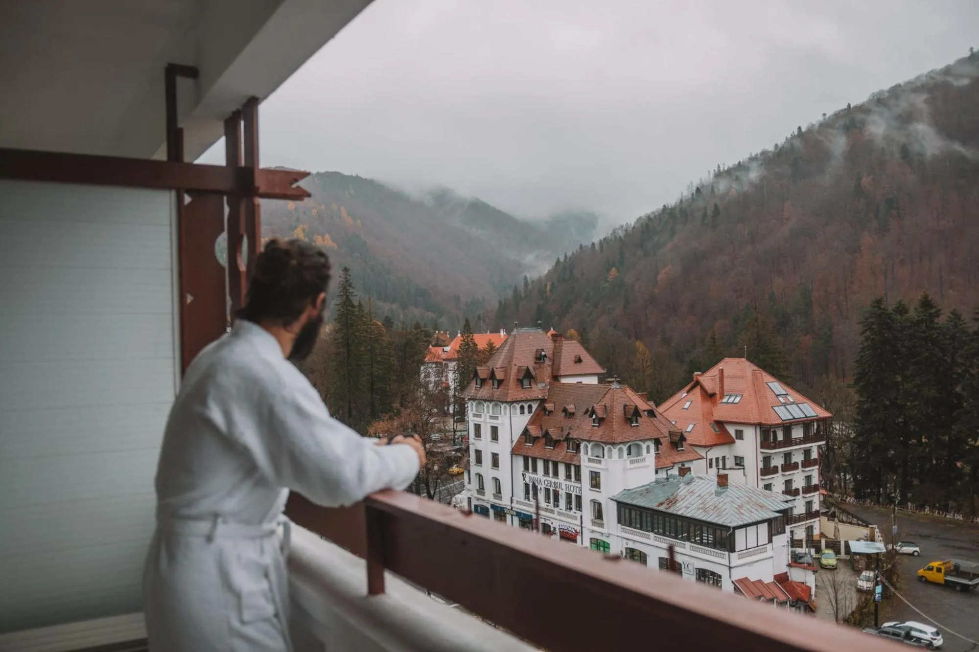 Natural landscape in Hotel Sinaia