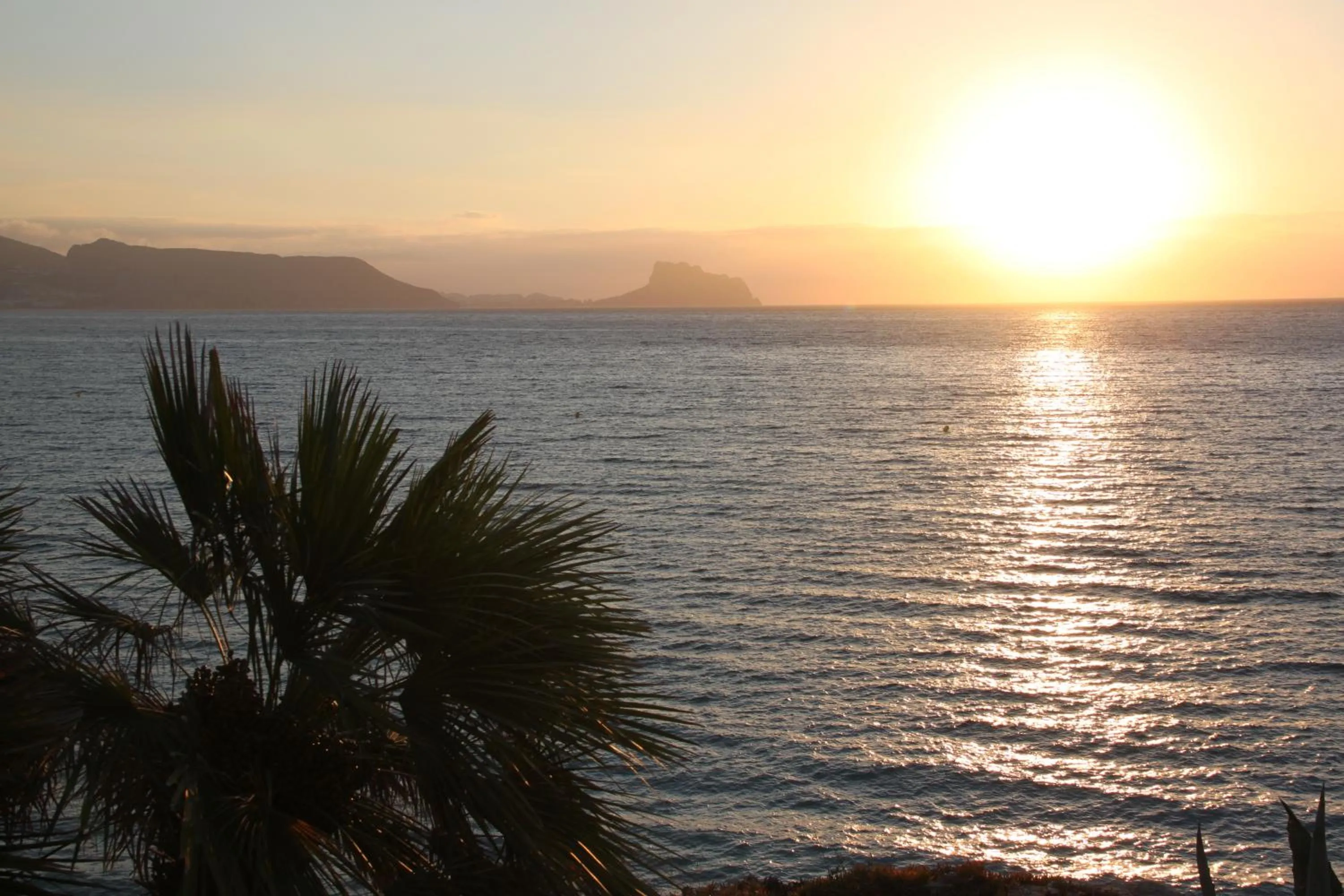 Area and facilities in Hotel La Riviera