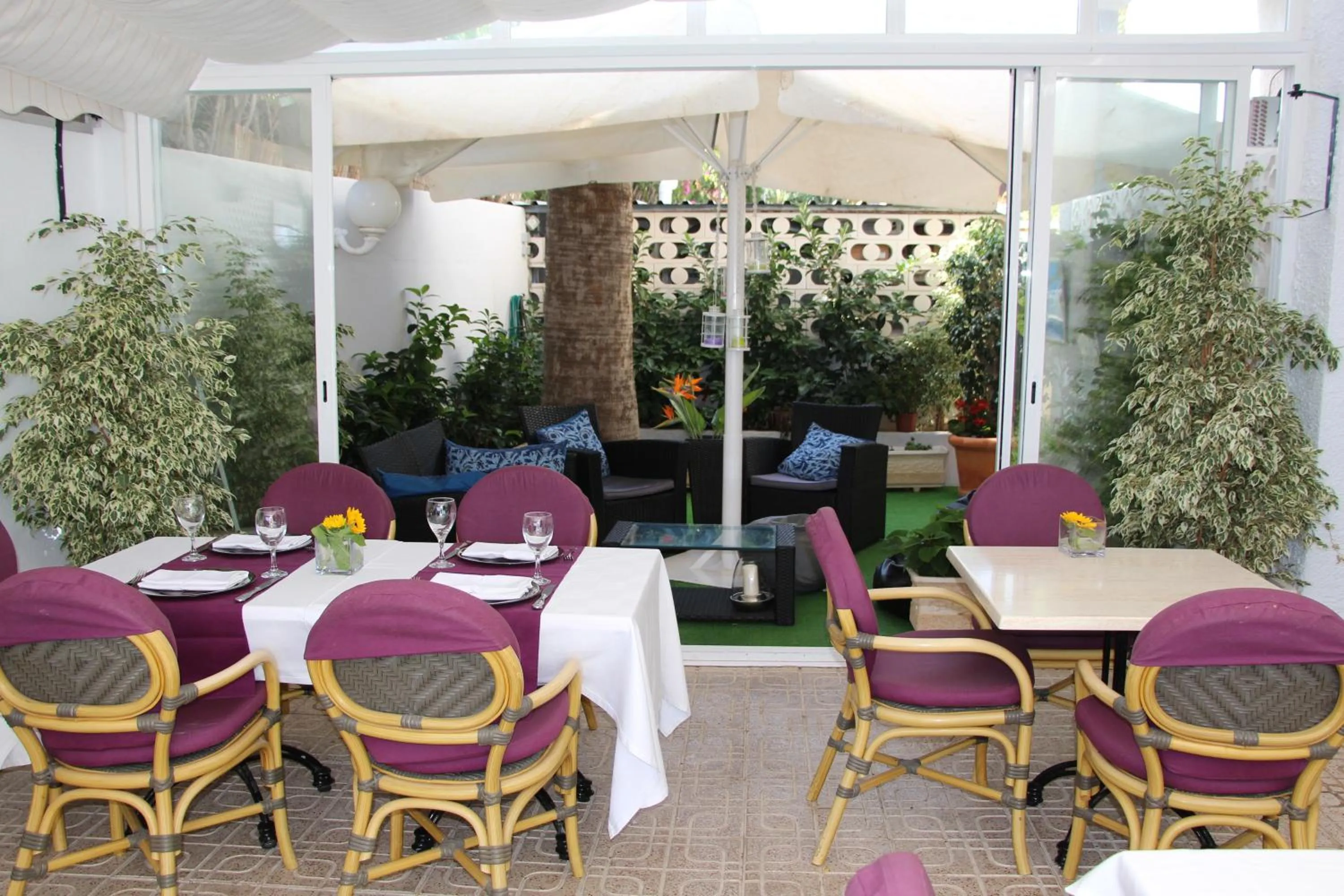 Restaurant/places to eat in Hotel La Riviera