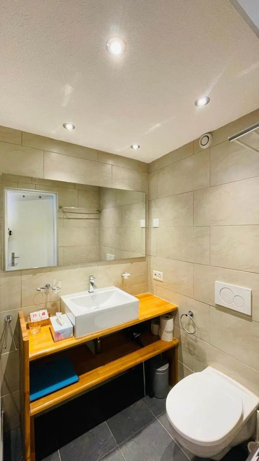 Toilet in Hotel Alpenblick
