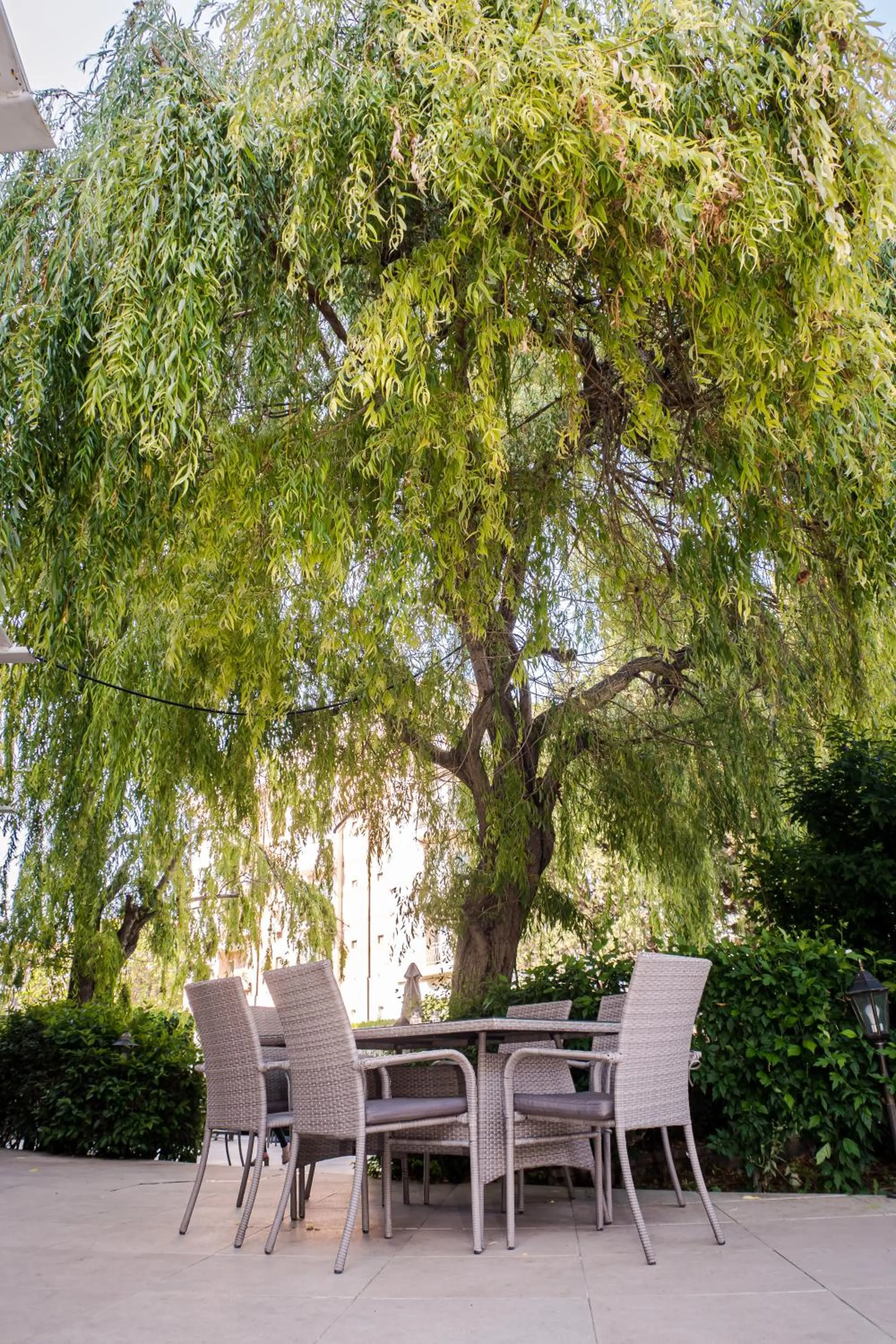 Restaurant/places to eat in Villa Aurora