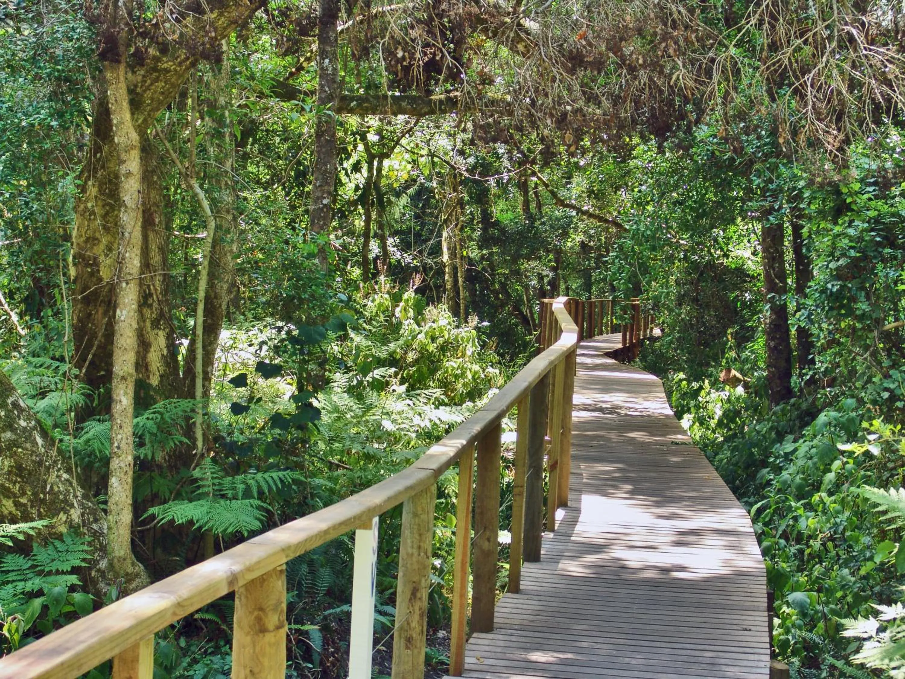 Area and facilities in Serendipity Country House & Restaurant