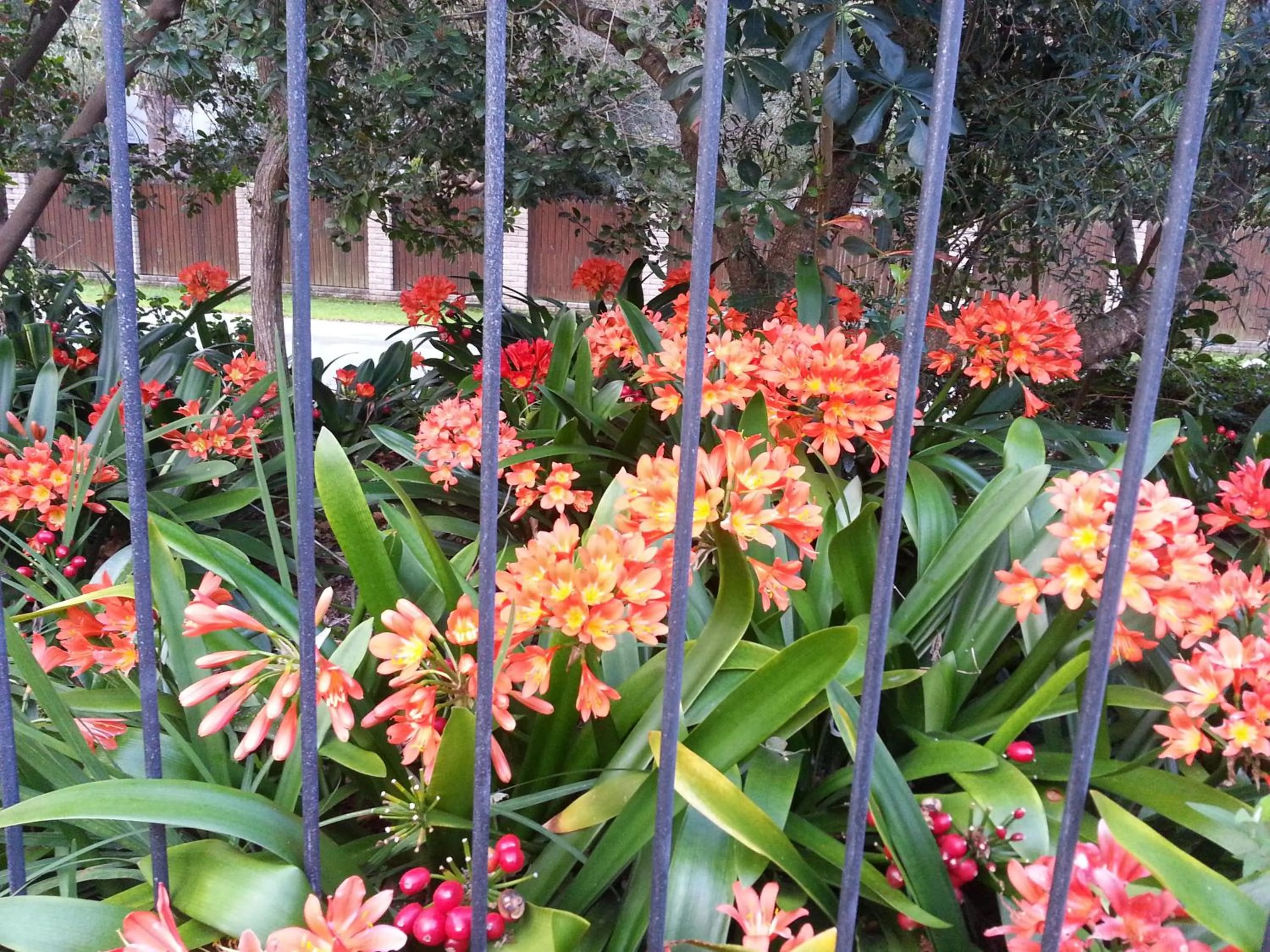 Garden in Serendipity Country House & Restaurant