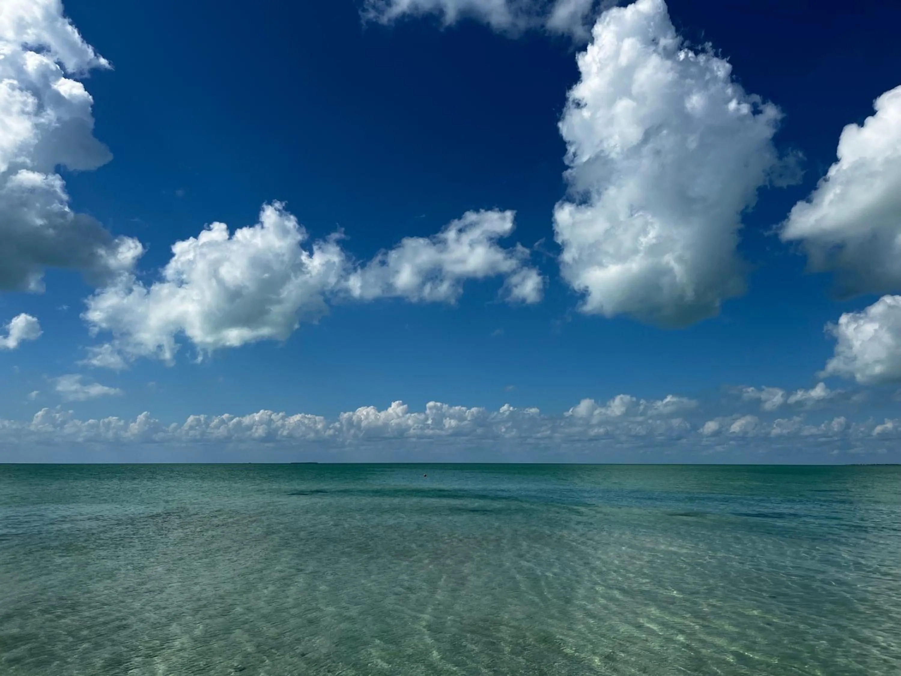 Natural landscape in DreamCabanas