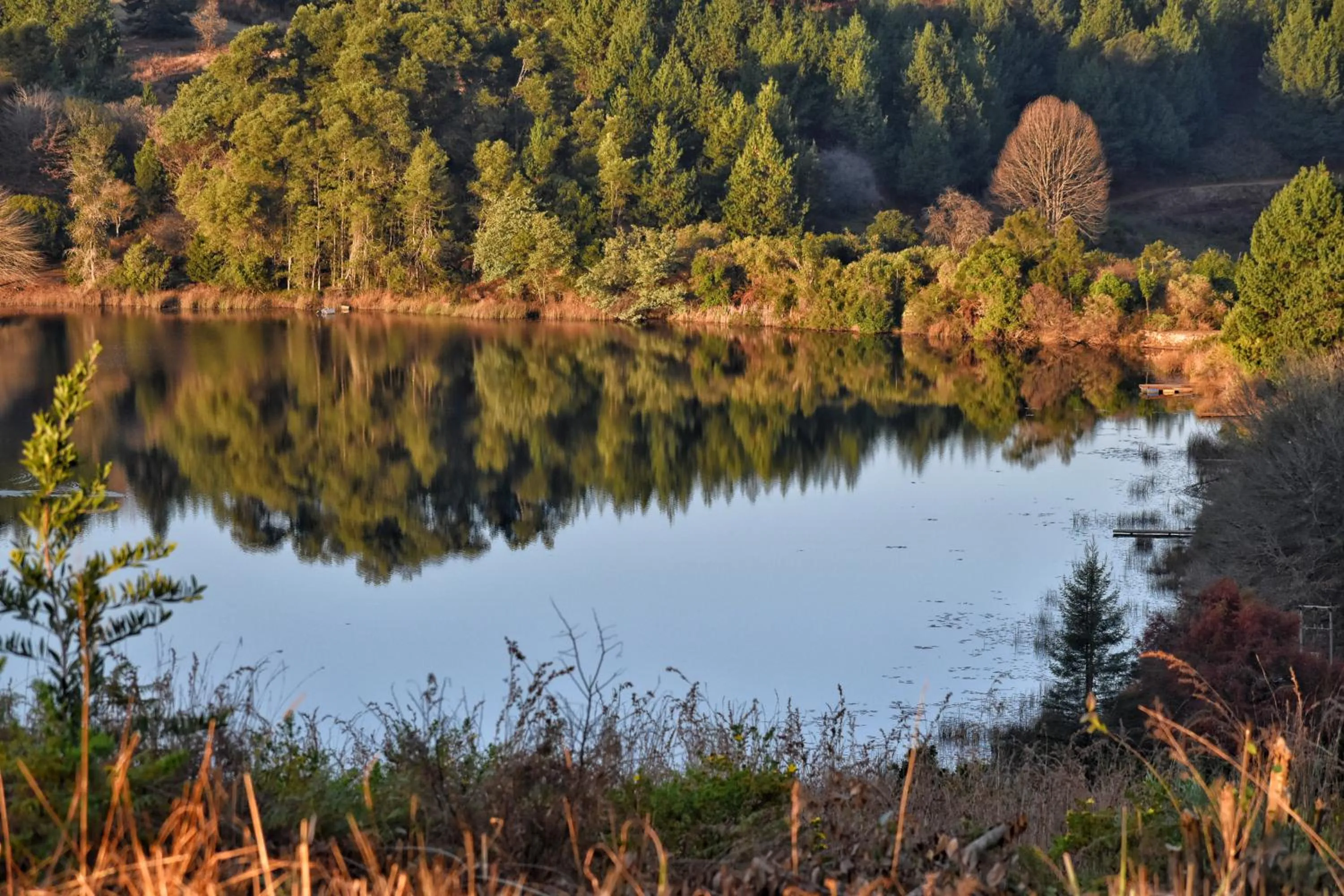 Lake view in Stanford Lake lodge